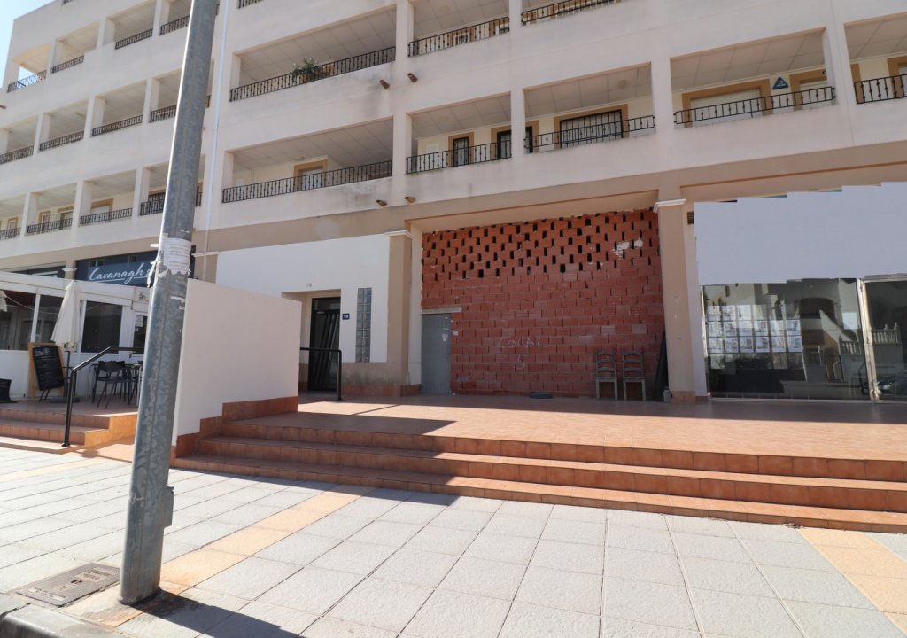 Resale - Commercial - Los Montesinos - Entre Naranjos / Vistabella Golf
