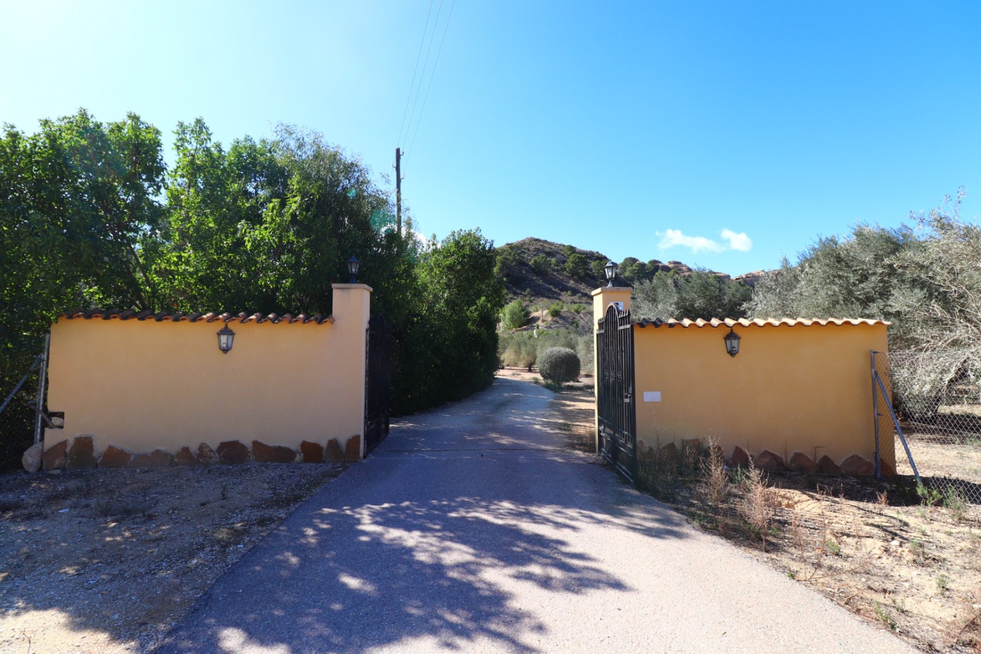 Resale - Country Property - Alicante - Aspe - Country