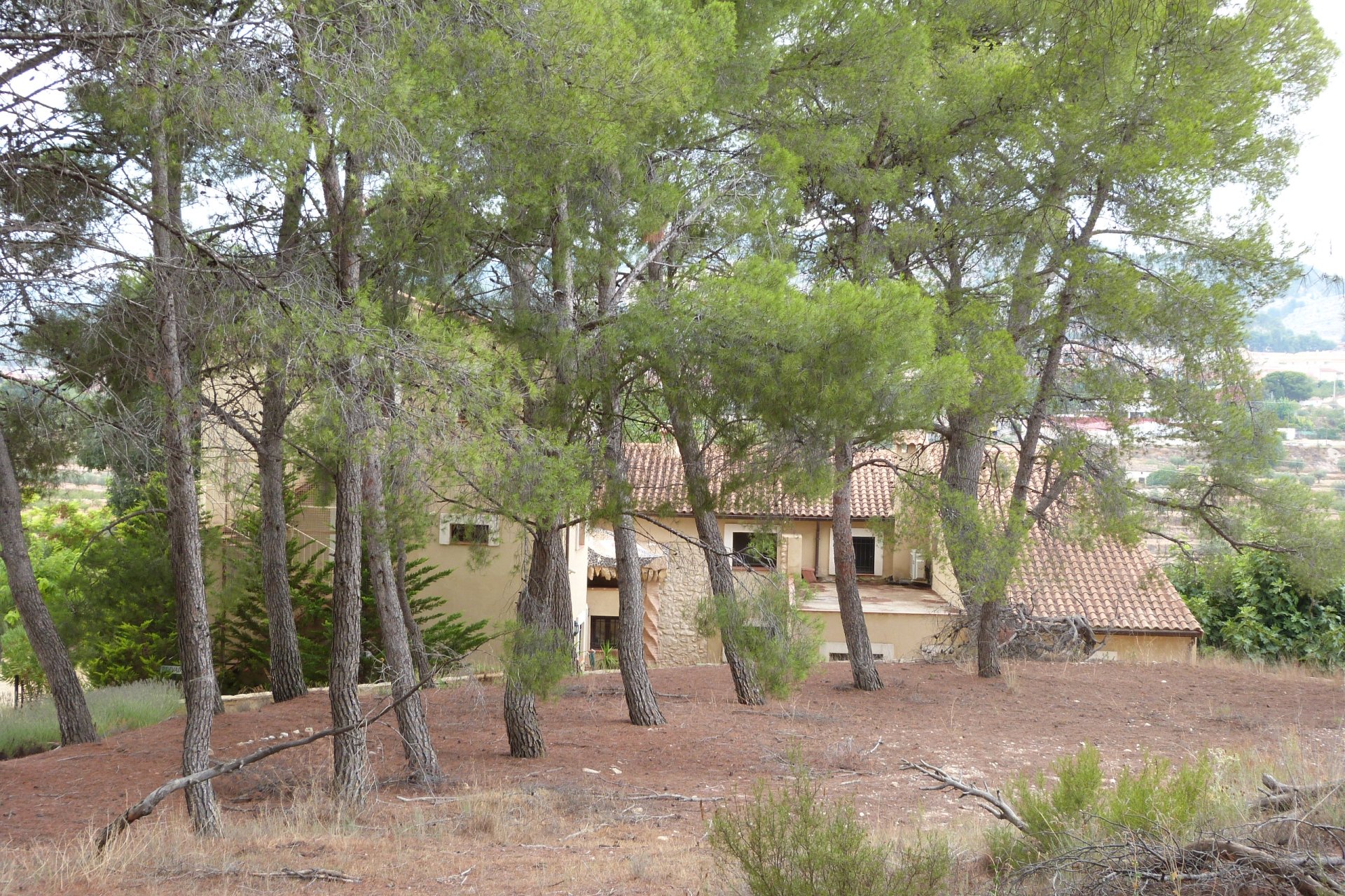 Resale - Country Property - Alicante - Ibi - Country