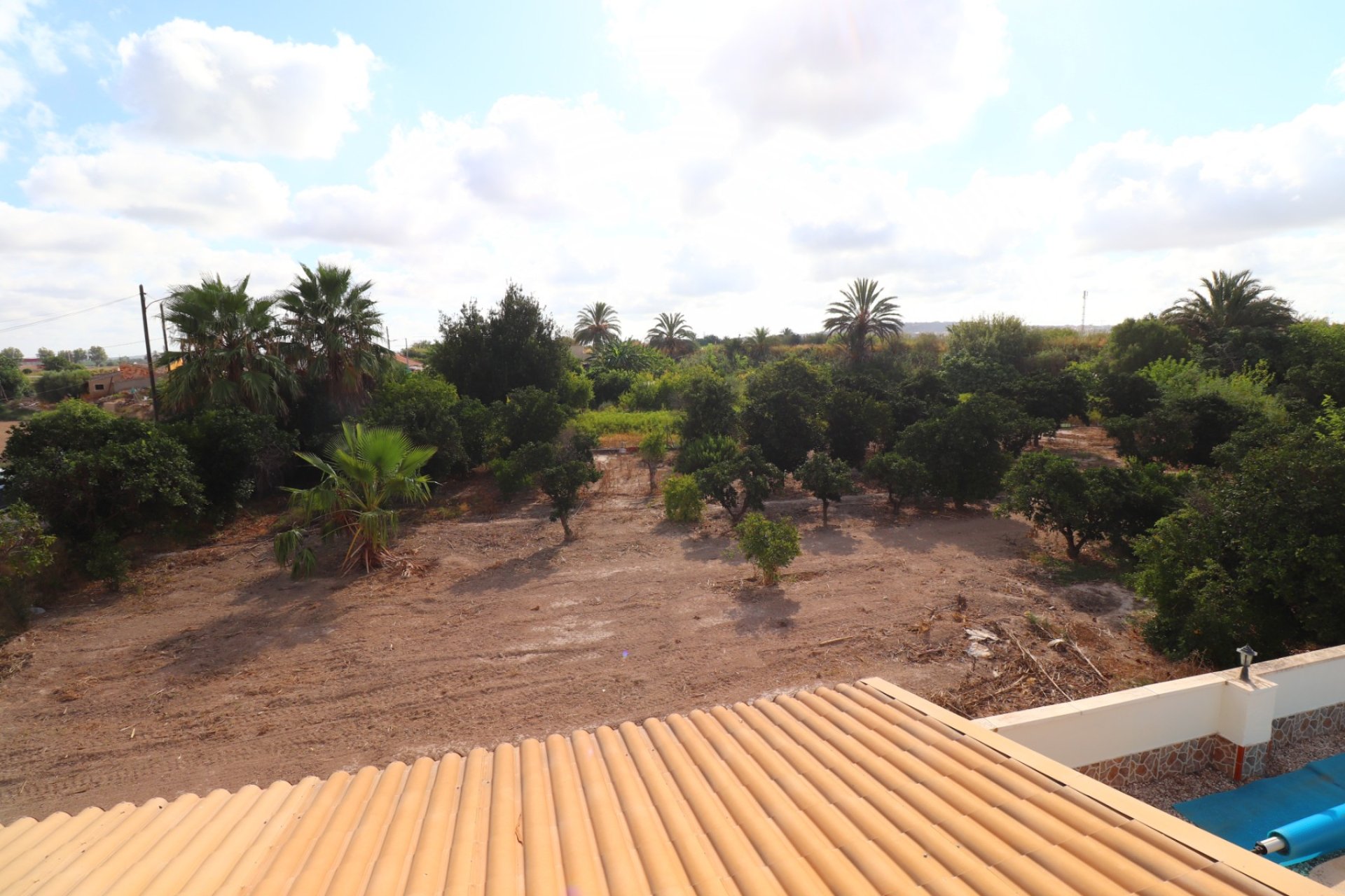 Resale - Country property  - Almoradí - Heredades - Country