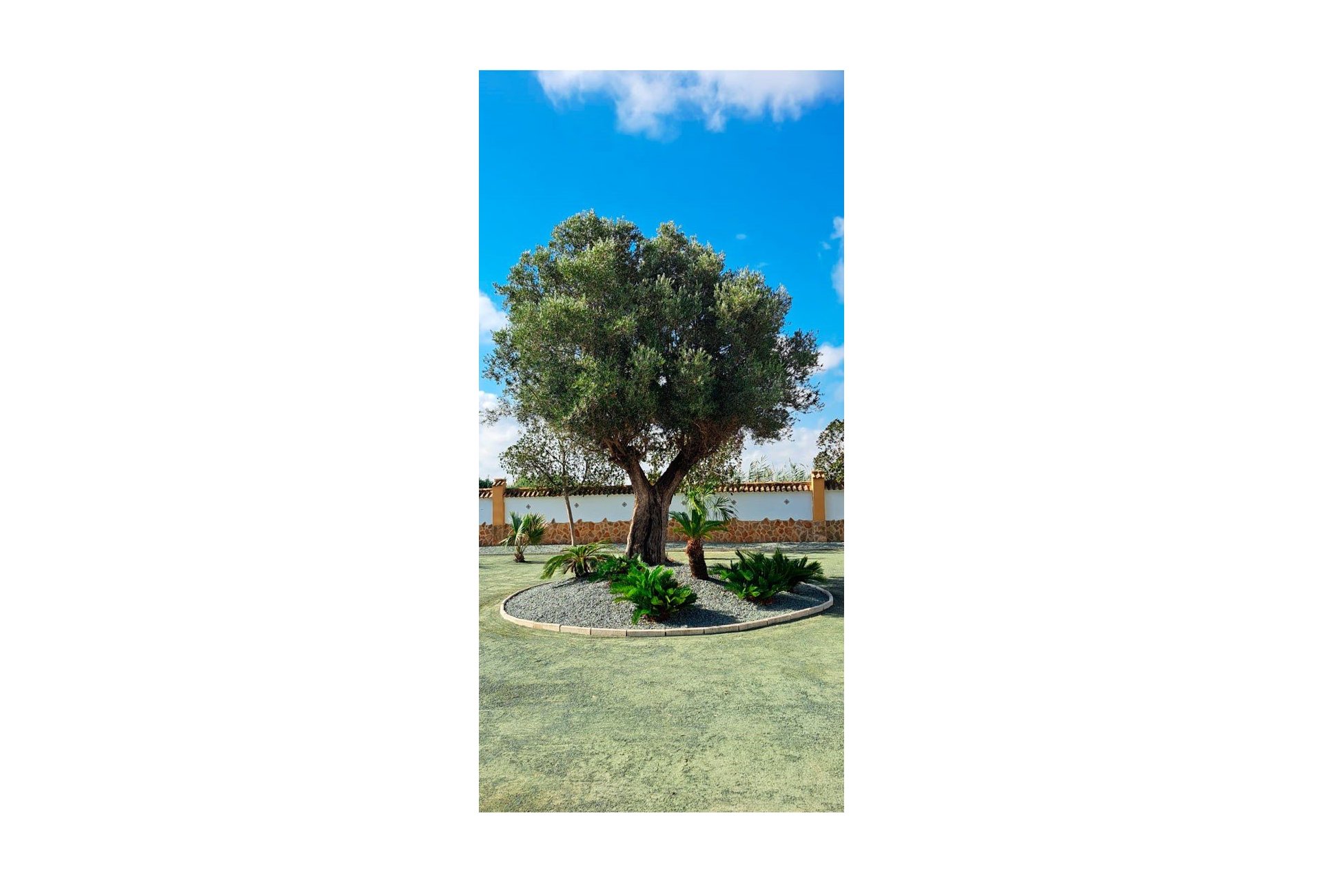 Resale - Country Property - Catral - Catral - Country