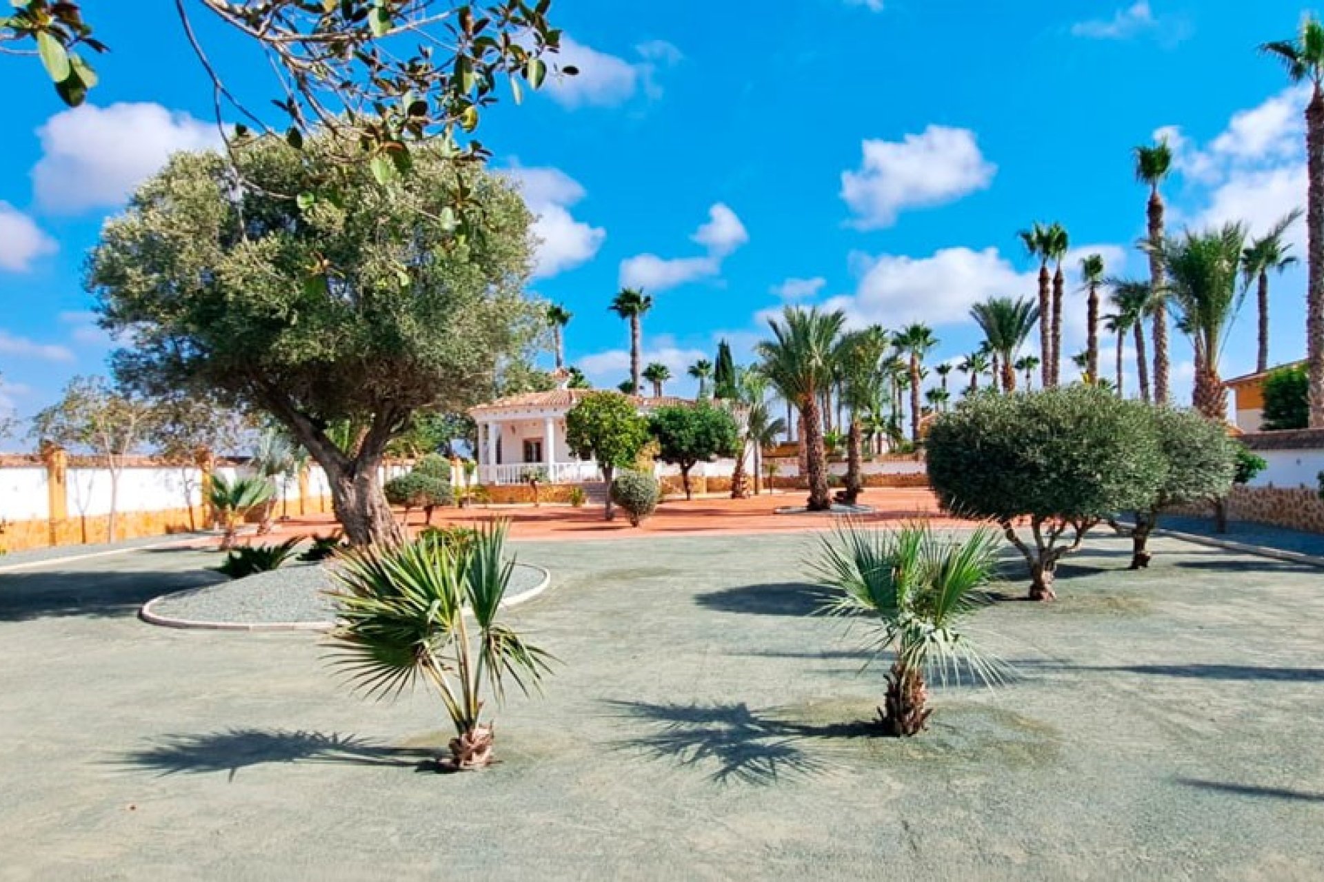 Resale - Country Property - Catral - Catral - Country