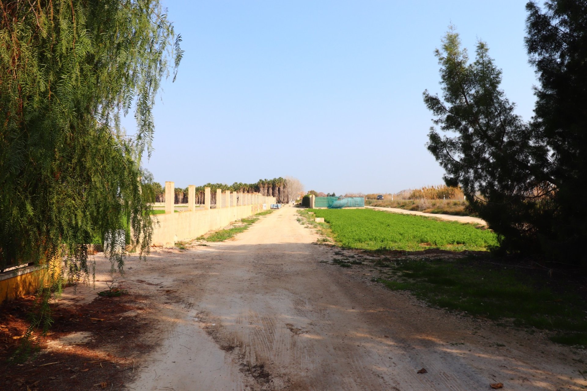 Resale - Country Property - Daya Vieja - Daya Vieja - Country