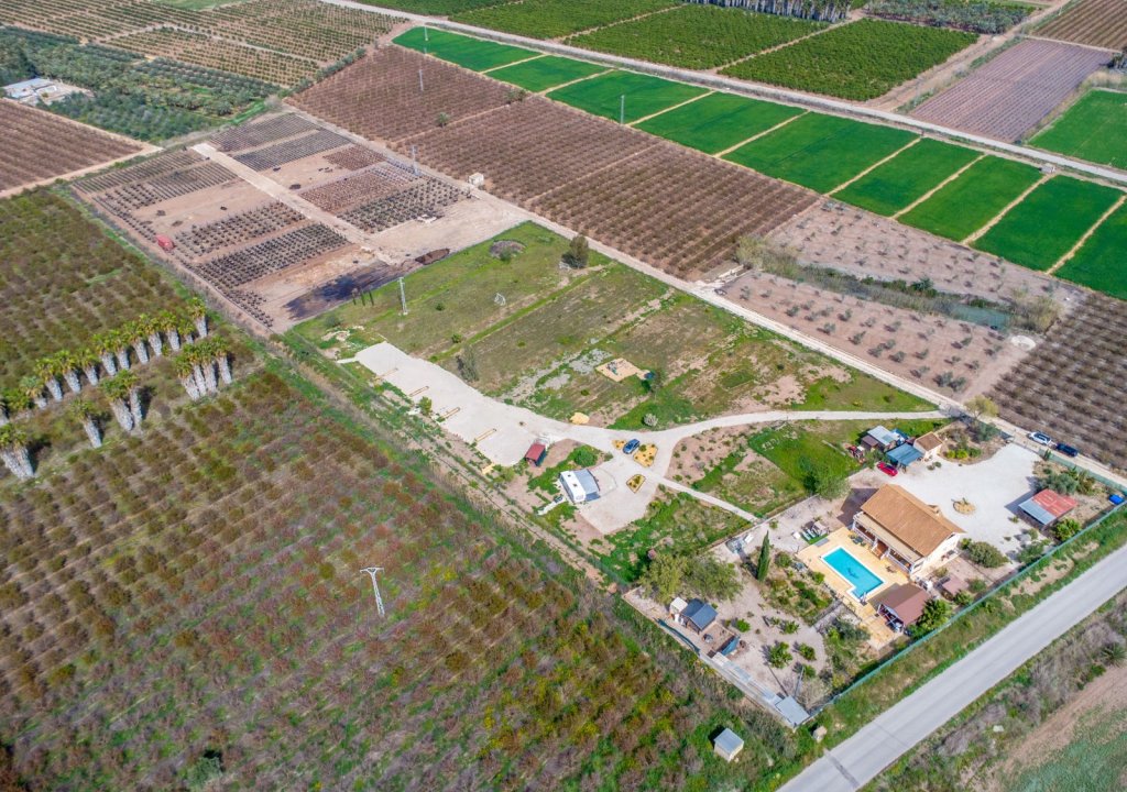 Resale - Detached House / Villa - Alicante - Albatera