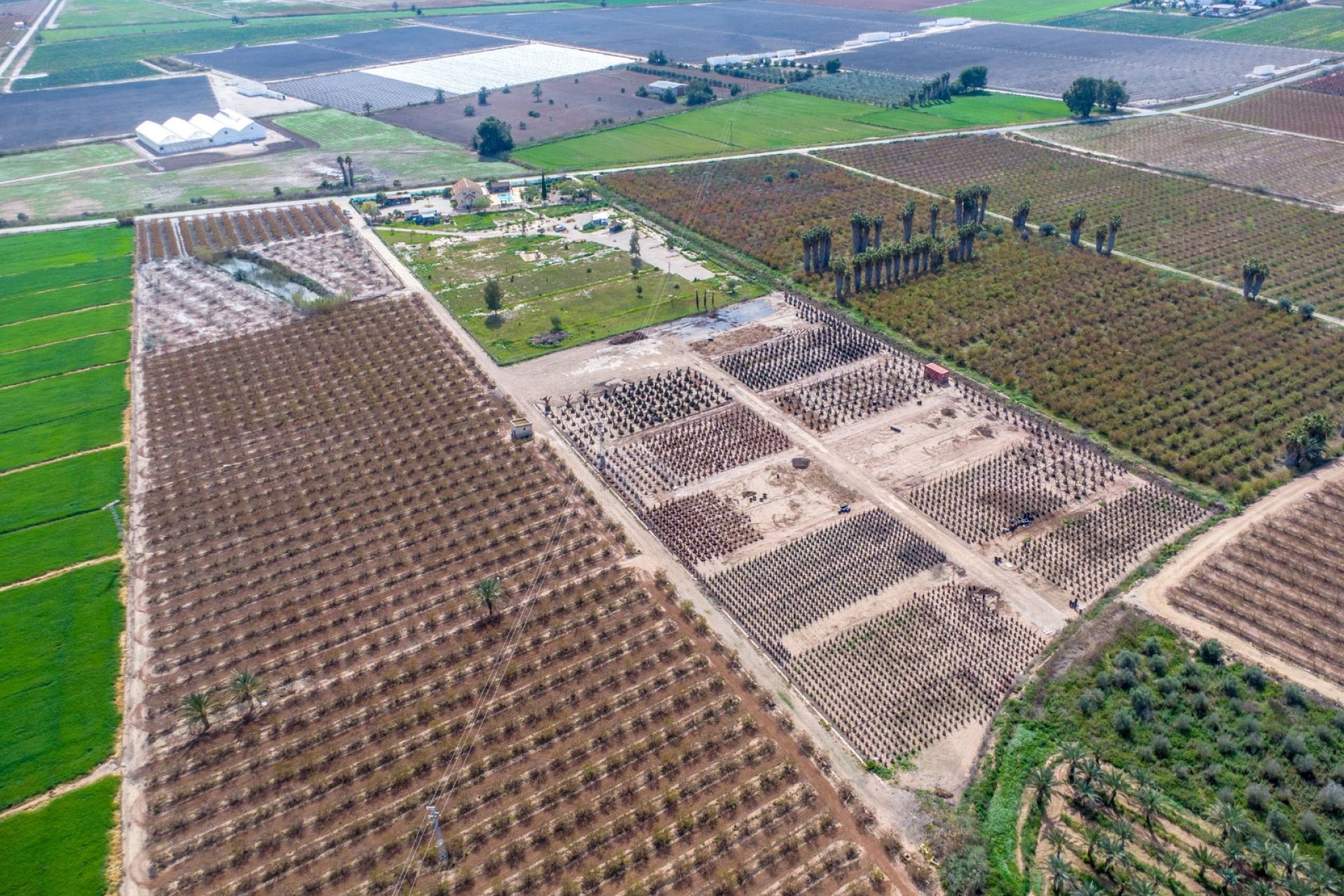 Resale - Detached House / Villa - Alicante - Albatera