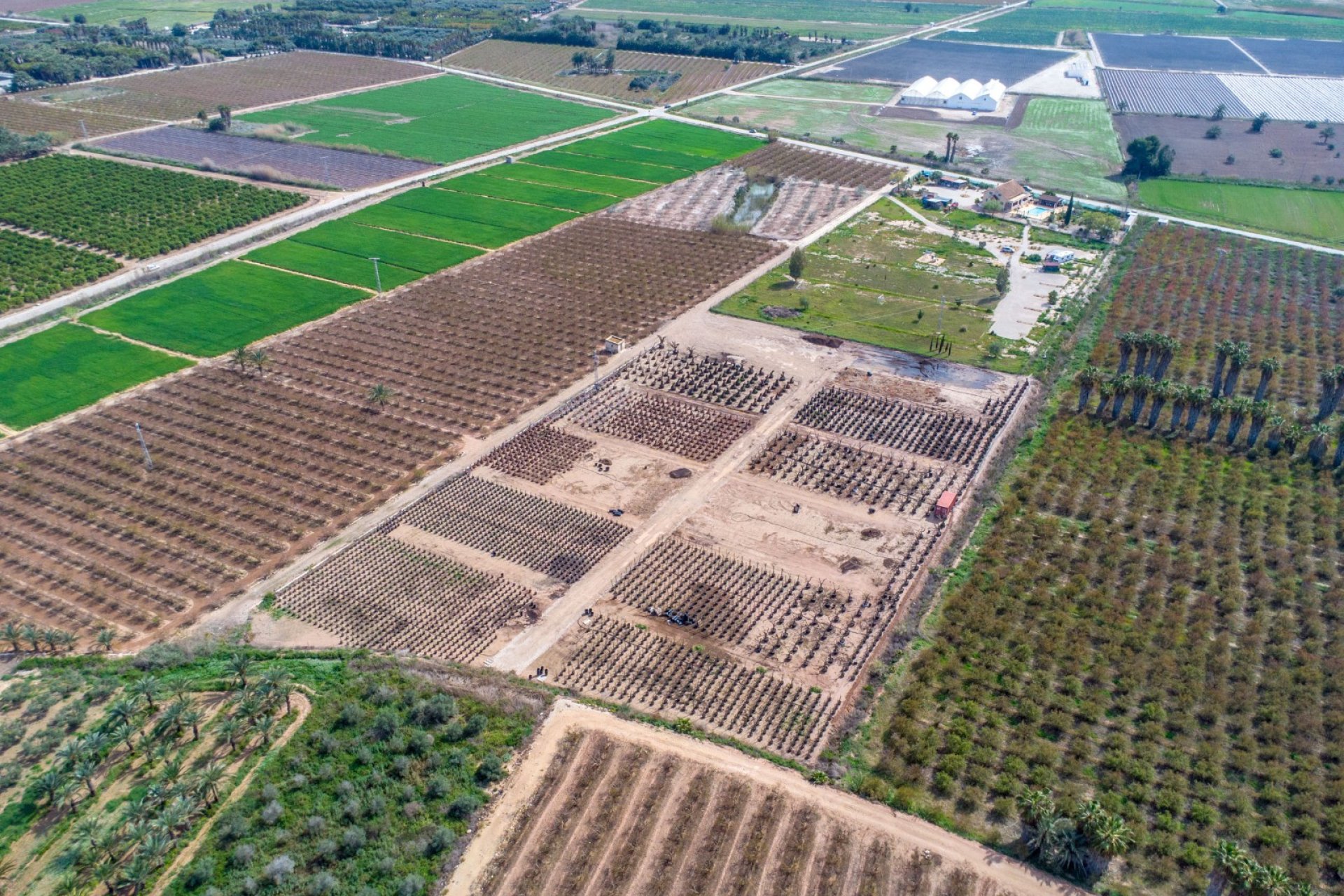 Resale - Detached House / Villa - Alicante - Albatera