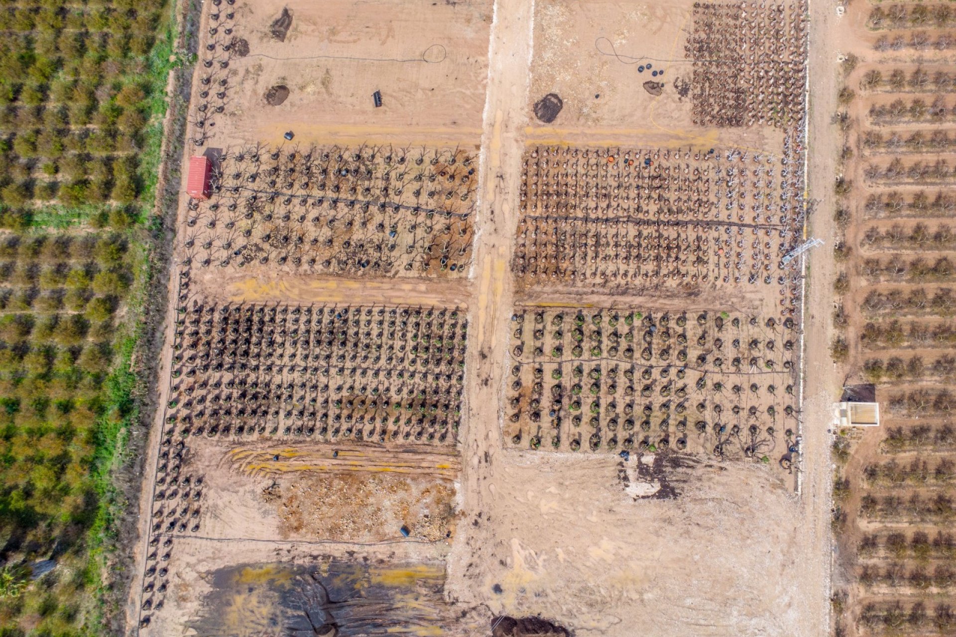 Resale - Detached House / Villa - Alicante - Albatera