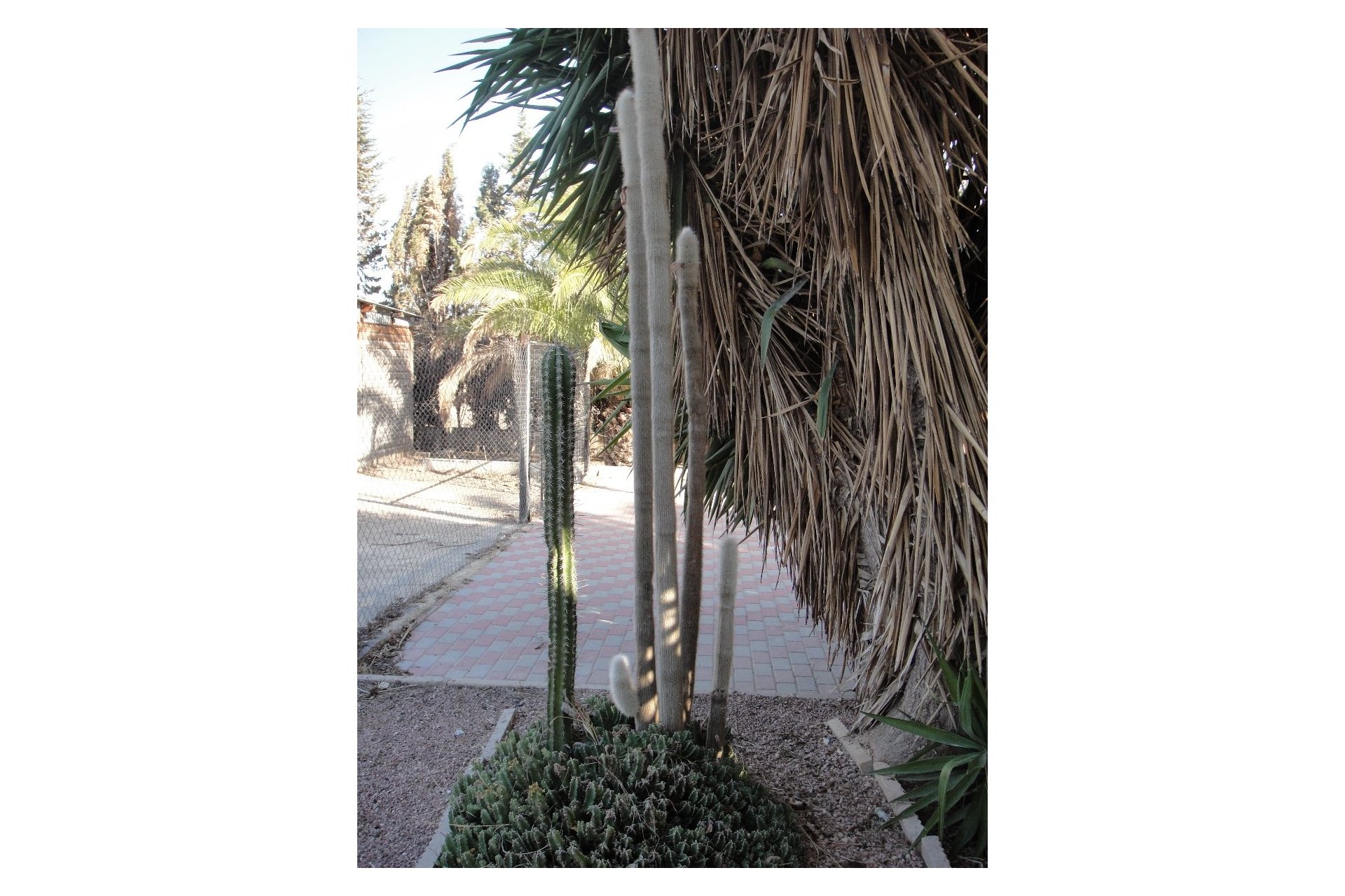 Resale - Detached House / Villa - Crevillente