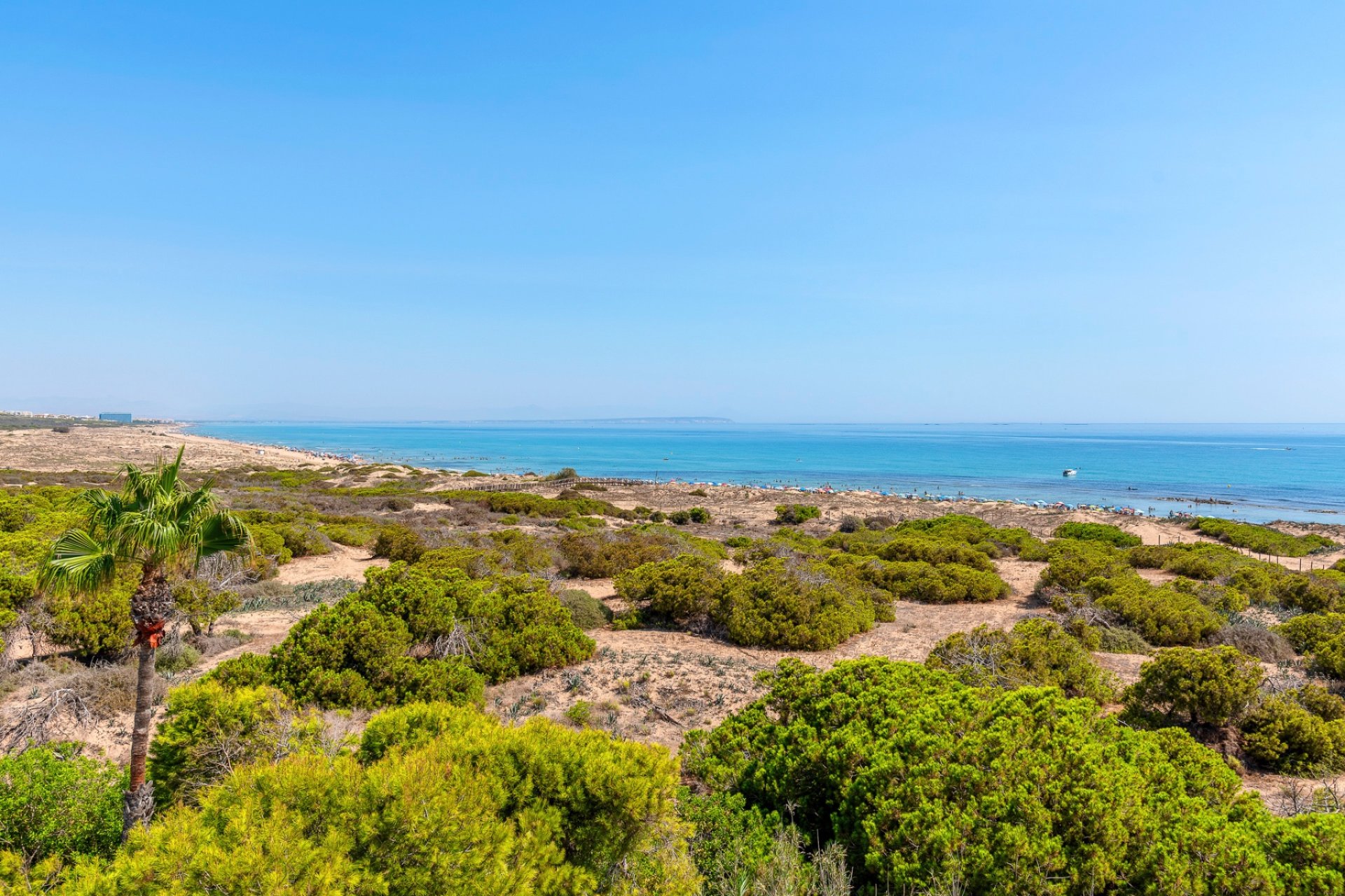Resale - Penthouse - La Mata