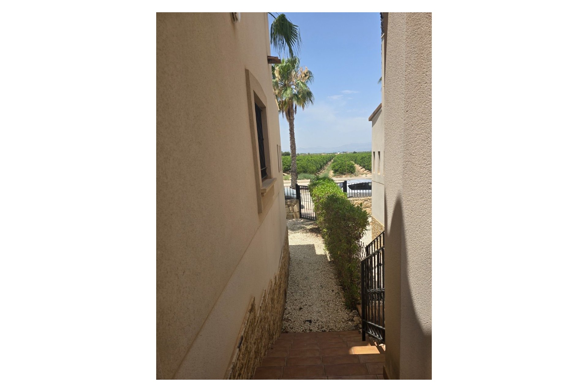 Resale - Semi Detached - Algorfa - La Finca Golf - La Finca Golf