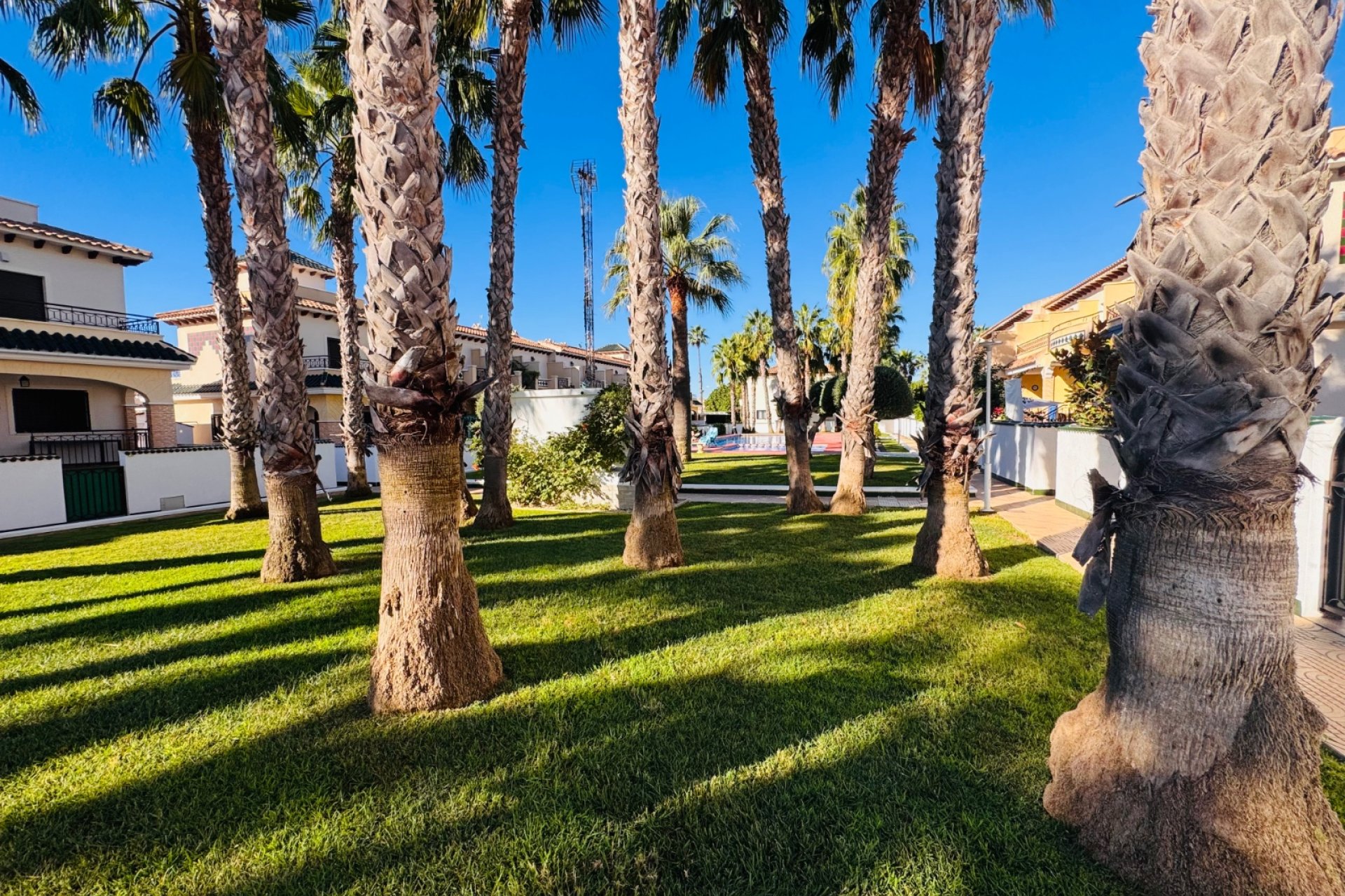 Resale - Semi Detached - Ciudad Quesada - Dona Pepa
