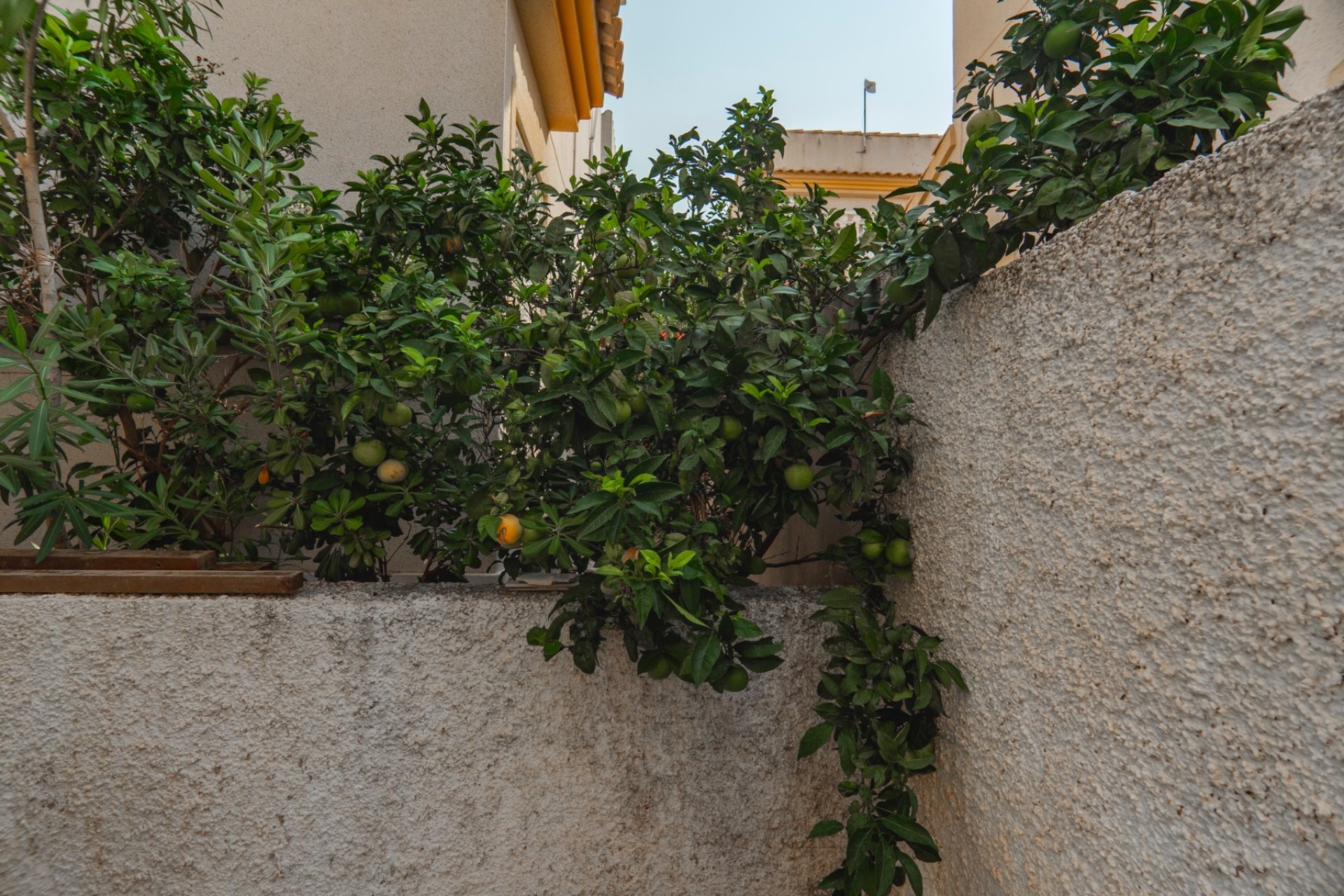 Resale - Villa - Ciudad Quesada - Ciudad Quesada - Rojales