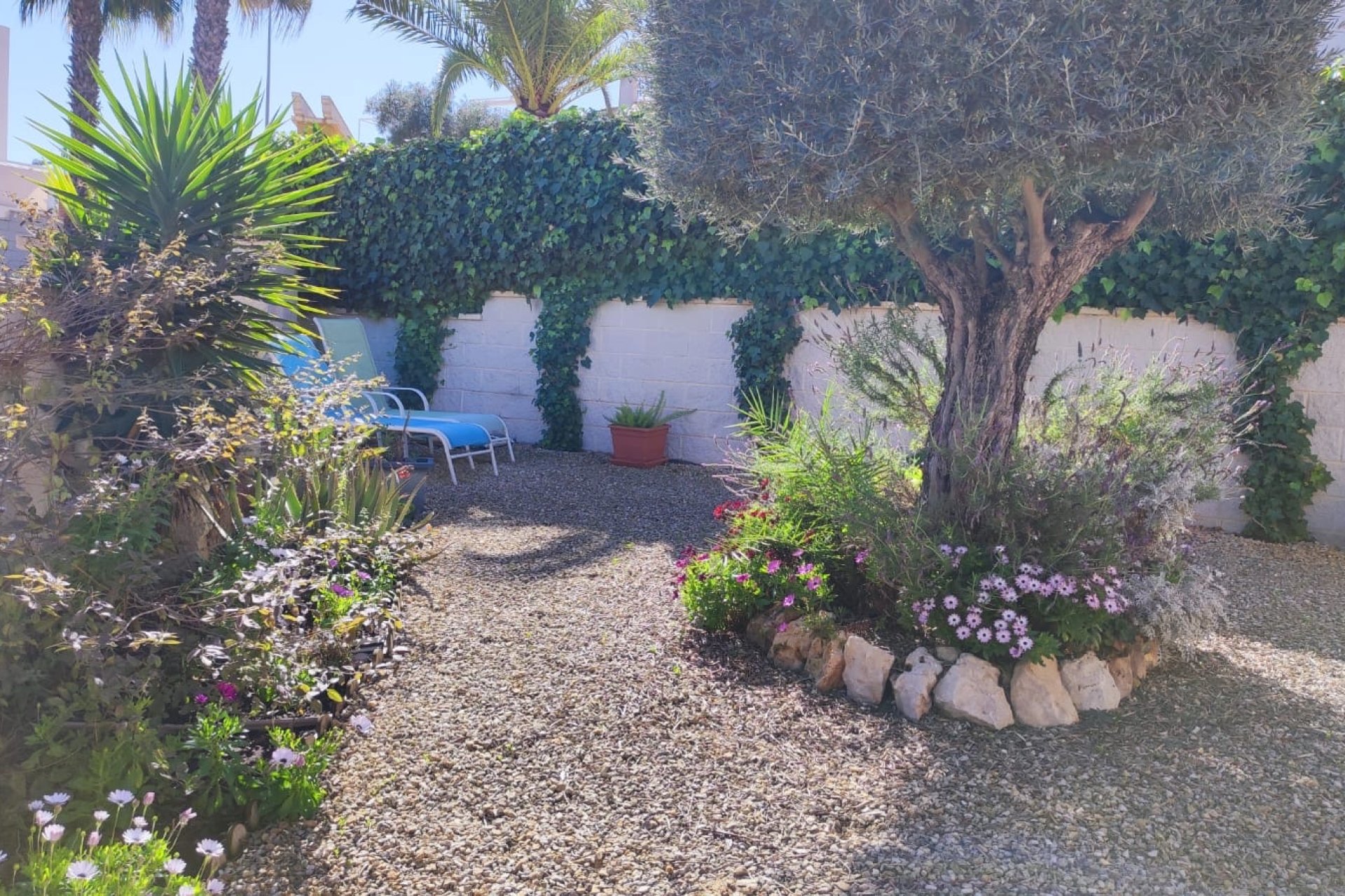 Resale - Villa - Ciudad Quesada - La Marquesa Golf