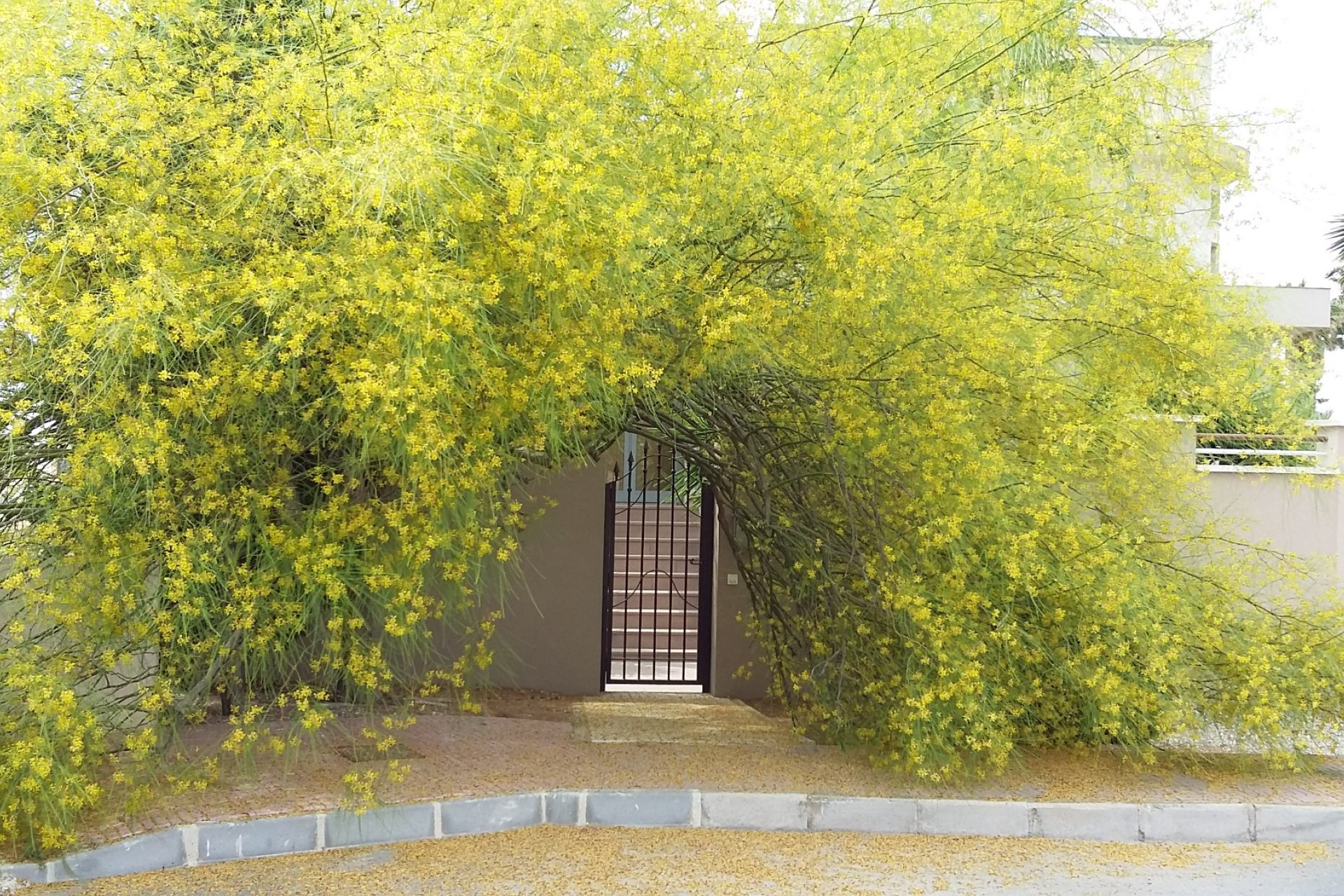 Resale - Villa - Ciudad Quesada - Pueblo Bravo