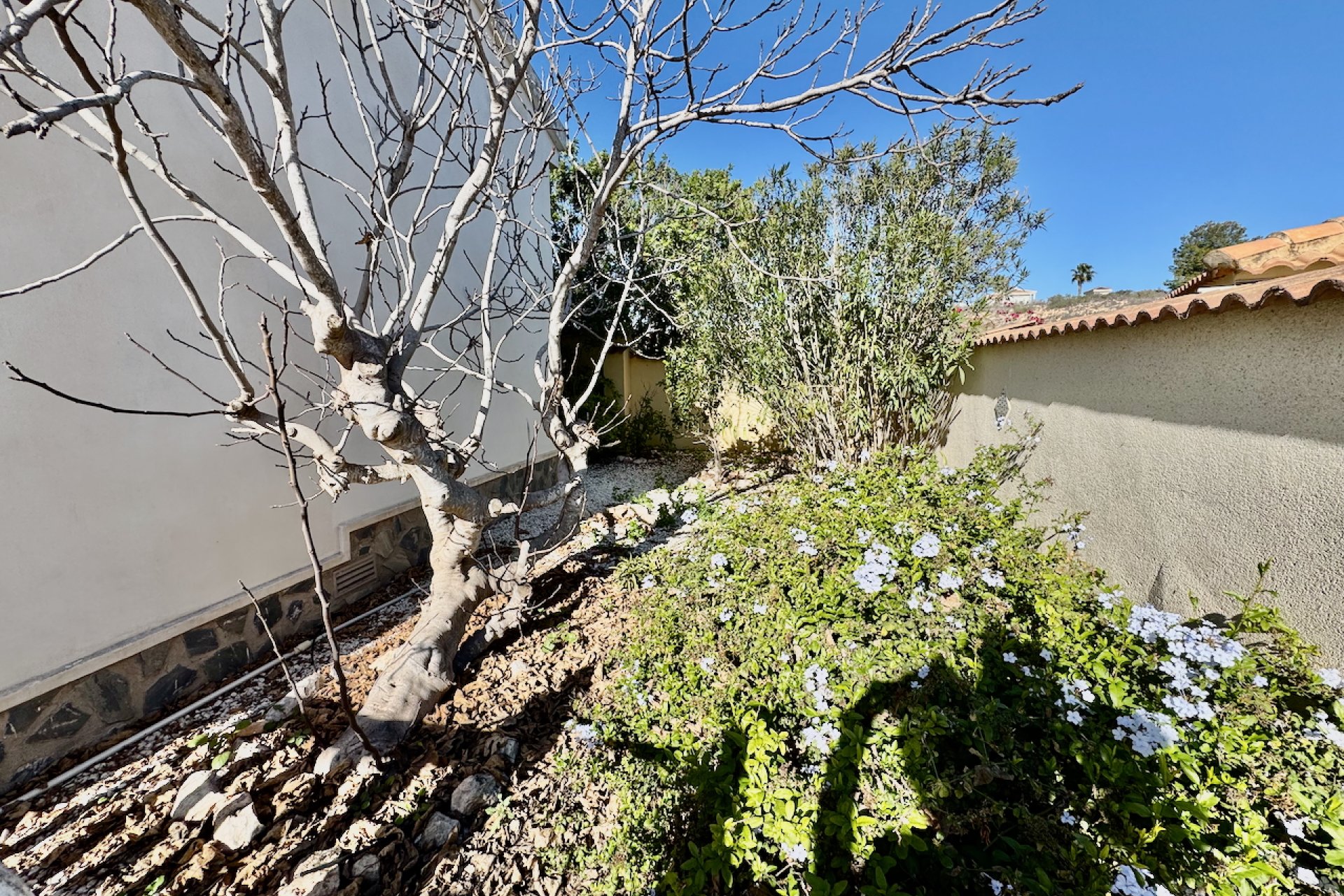 Resale - Villa - Ciudad Quesada - Rojales