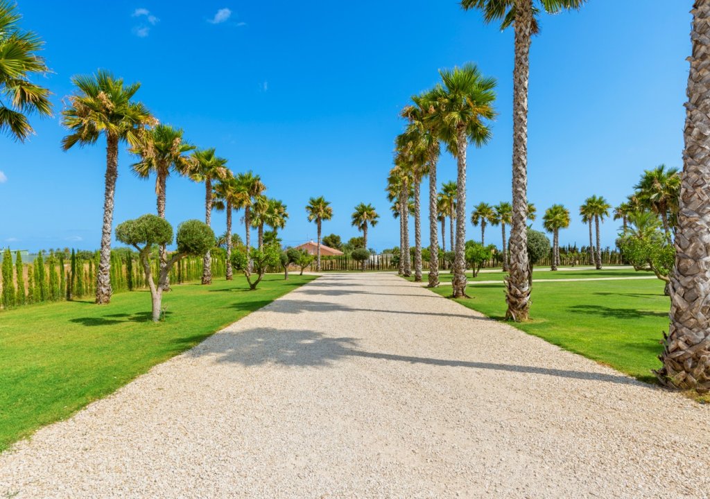 Resale - Villa - Elche/Elx