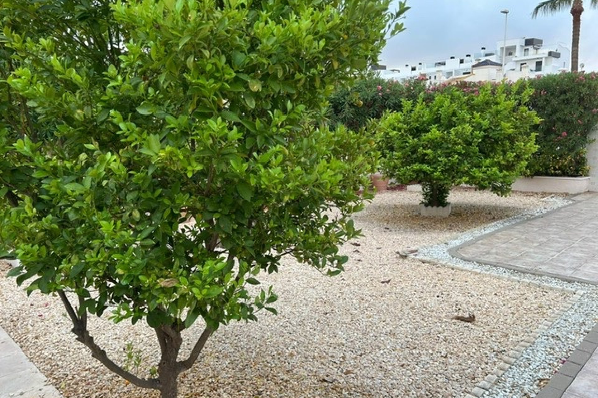 Resale - Villa - Villamartín - Los Dolses