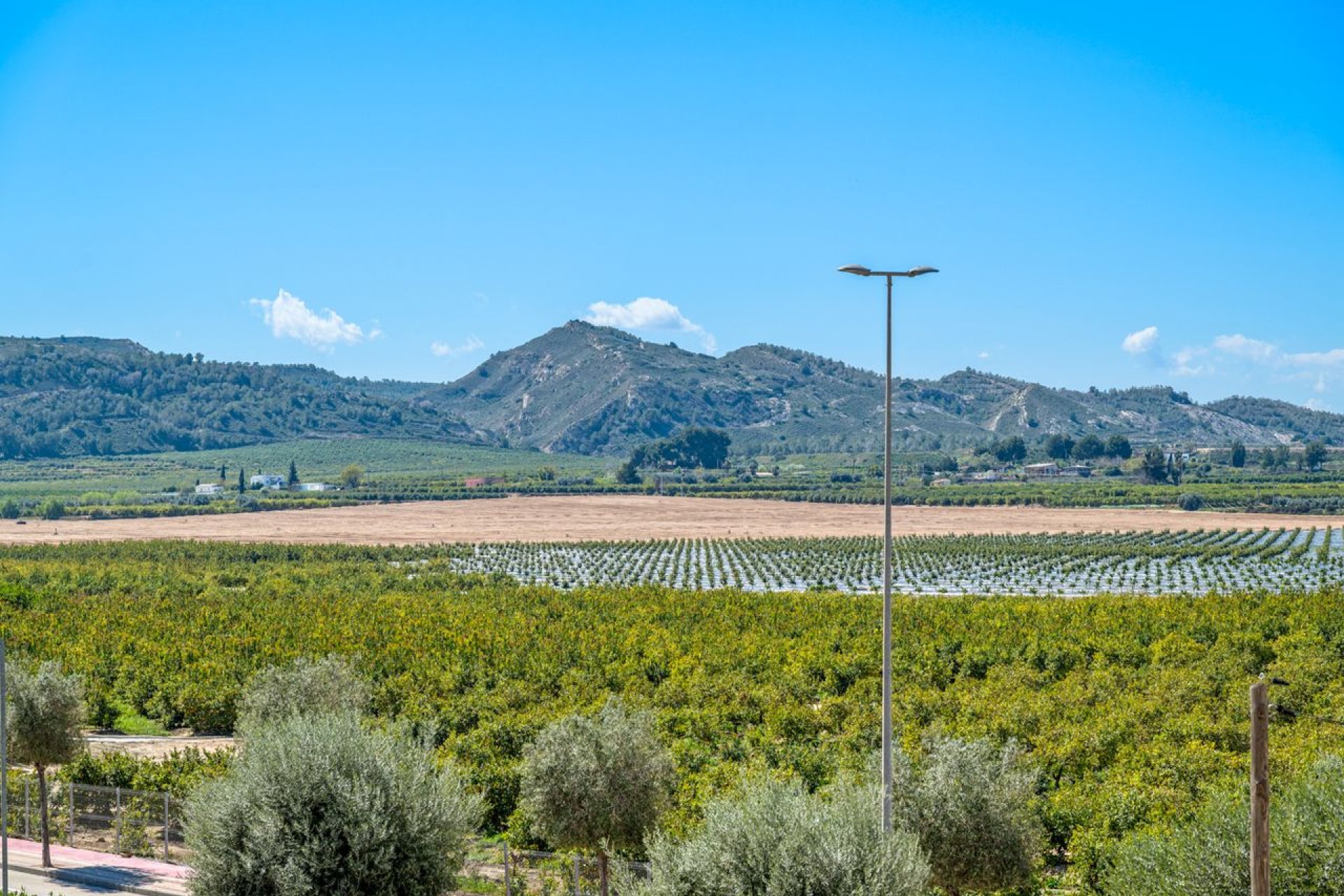 Reventa - Apartment - Algorfa - Fontana