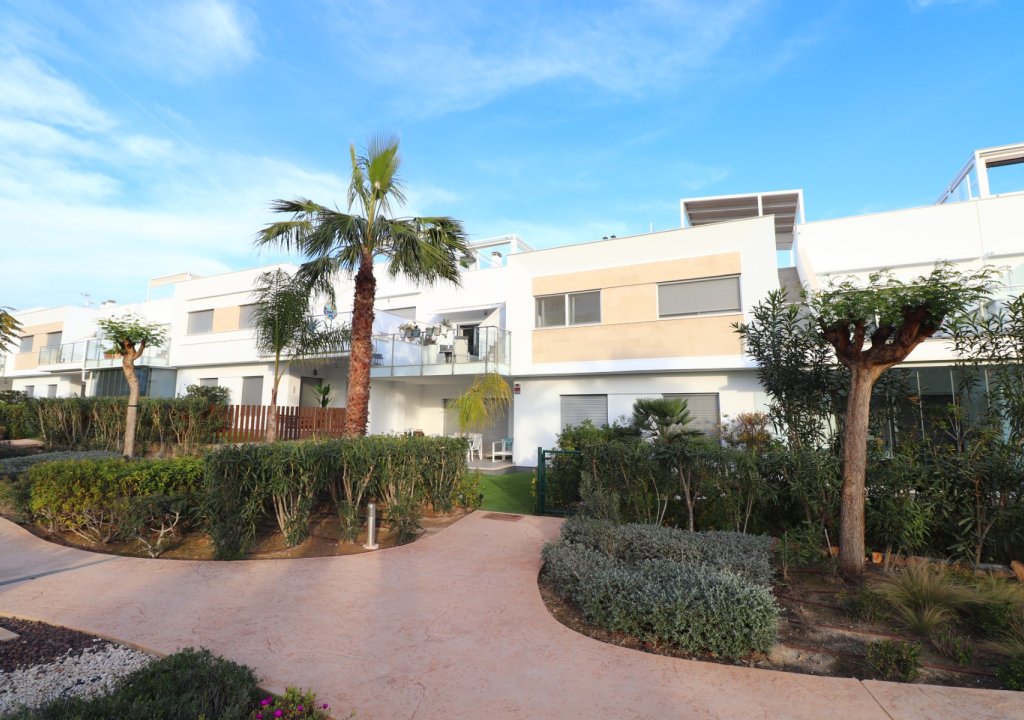 Reventa - Apartment - Los Montesinos - Entre Naranjos / Vistabella Golf