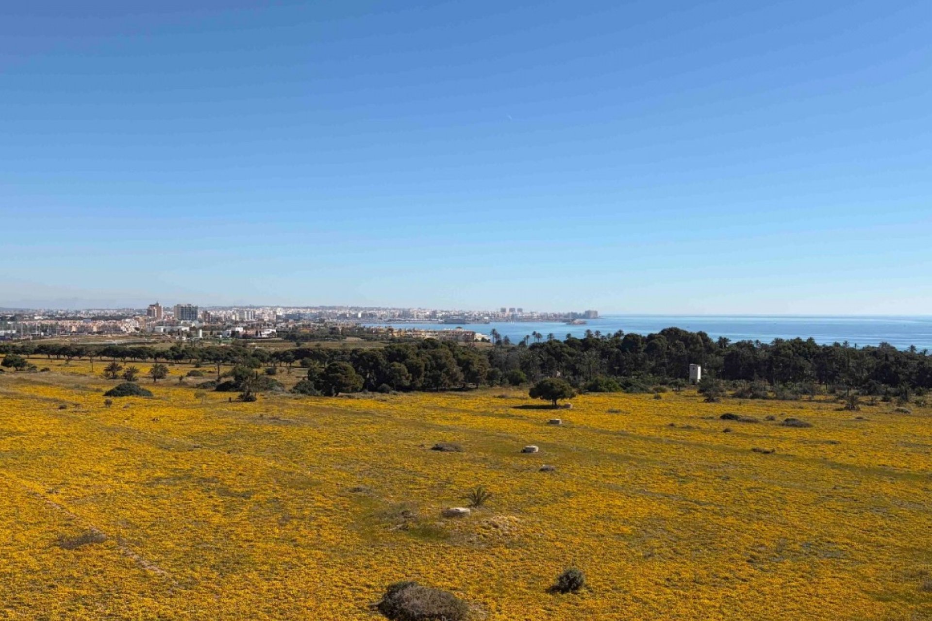 Reventa - Apartment - Orihuela Costa - Punta Prima