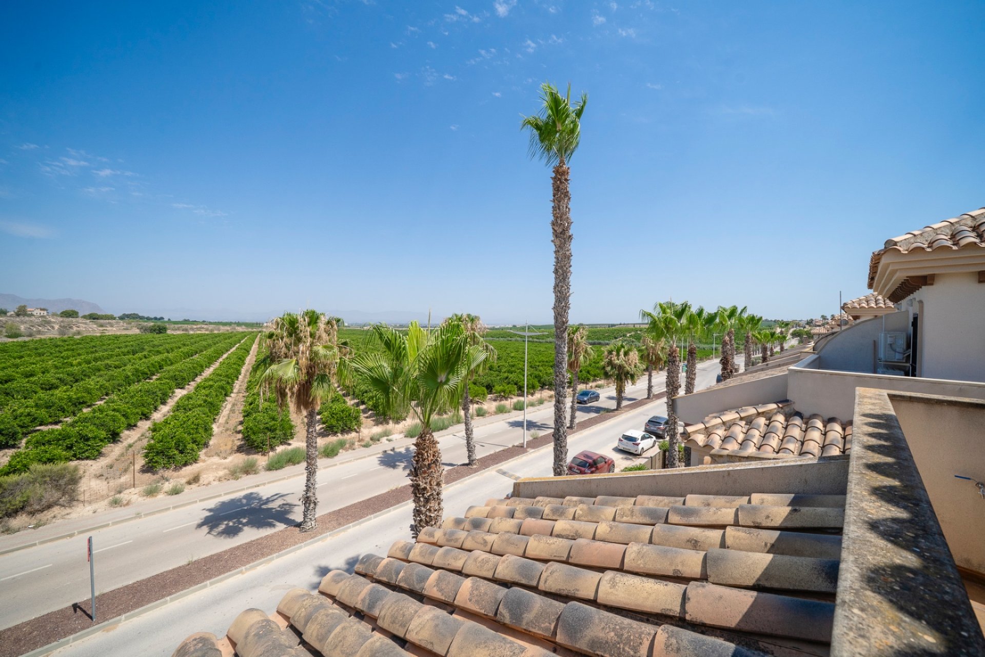Reventa - Chalet - Algorfa