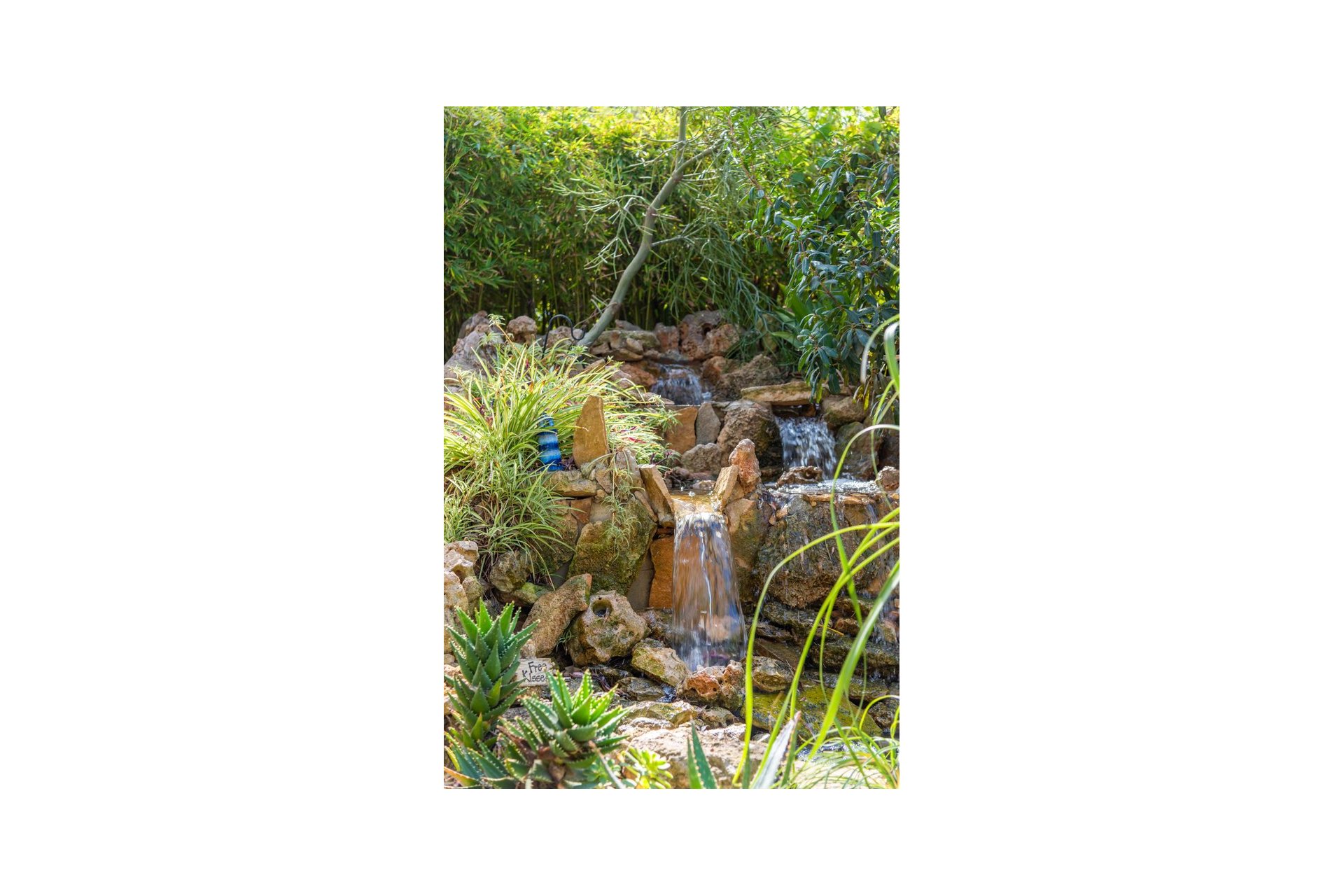 Reventa - Country House - Daya Nueva