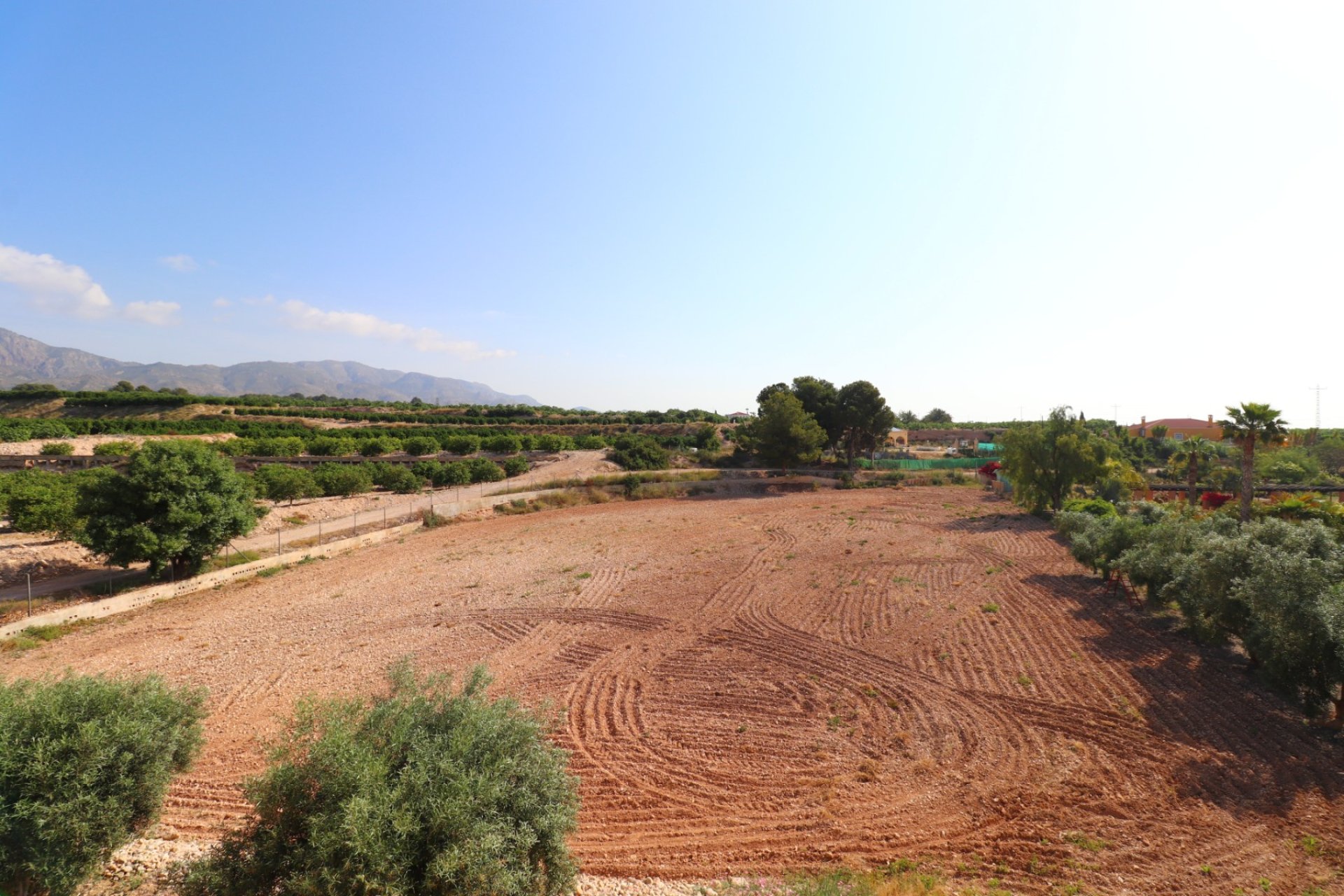 Reventa - Country property - Albatera - Albatera - Country