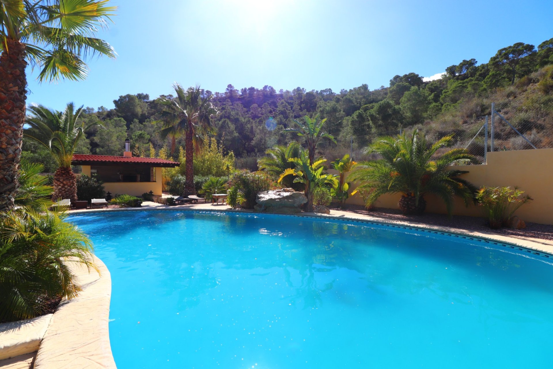 Reventa - Country Property - Alicante - Aspe - Country