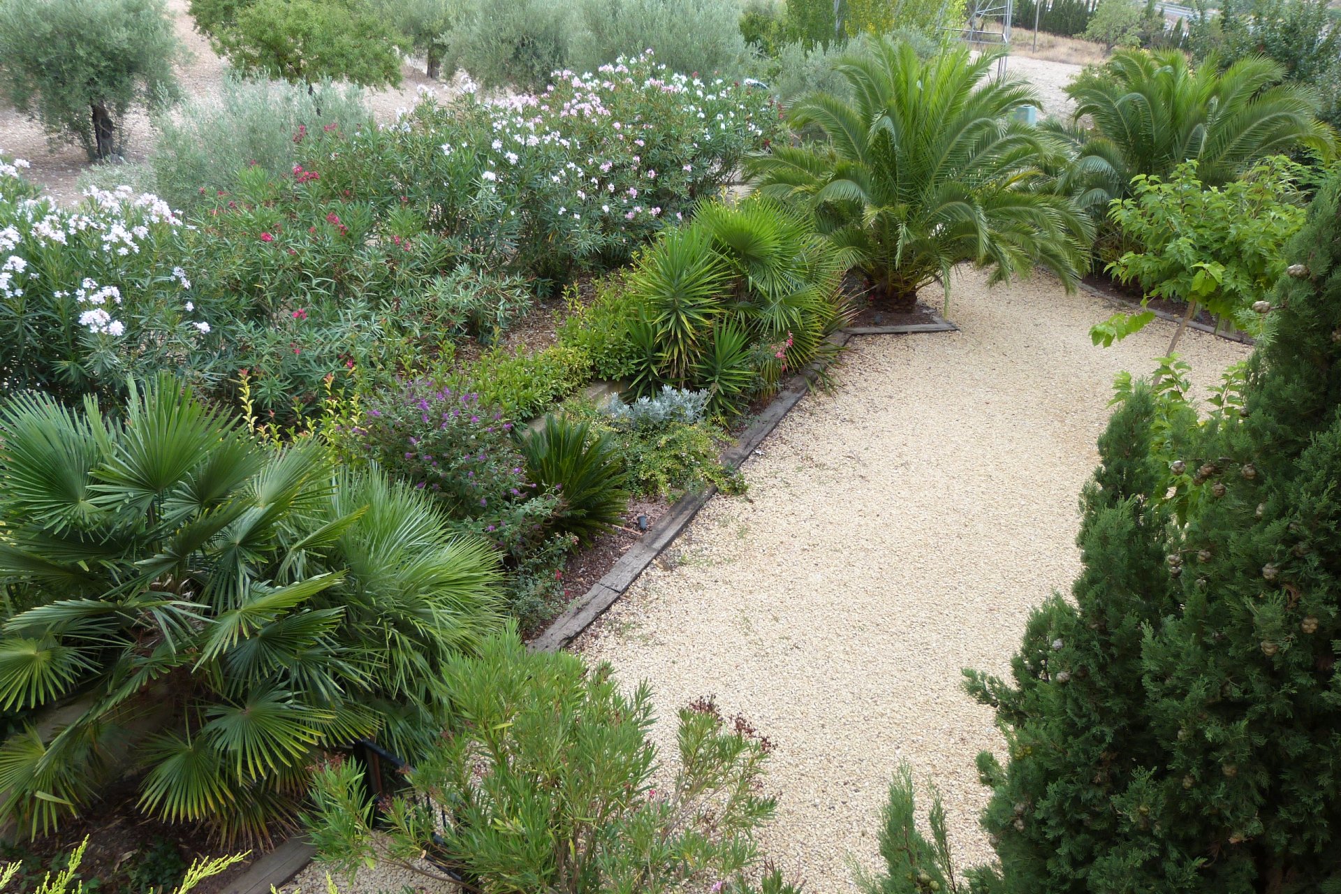 Reventa - Country Property - Alicante - Ibi - Country