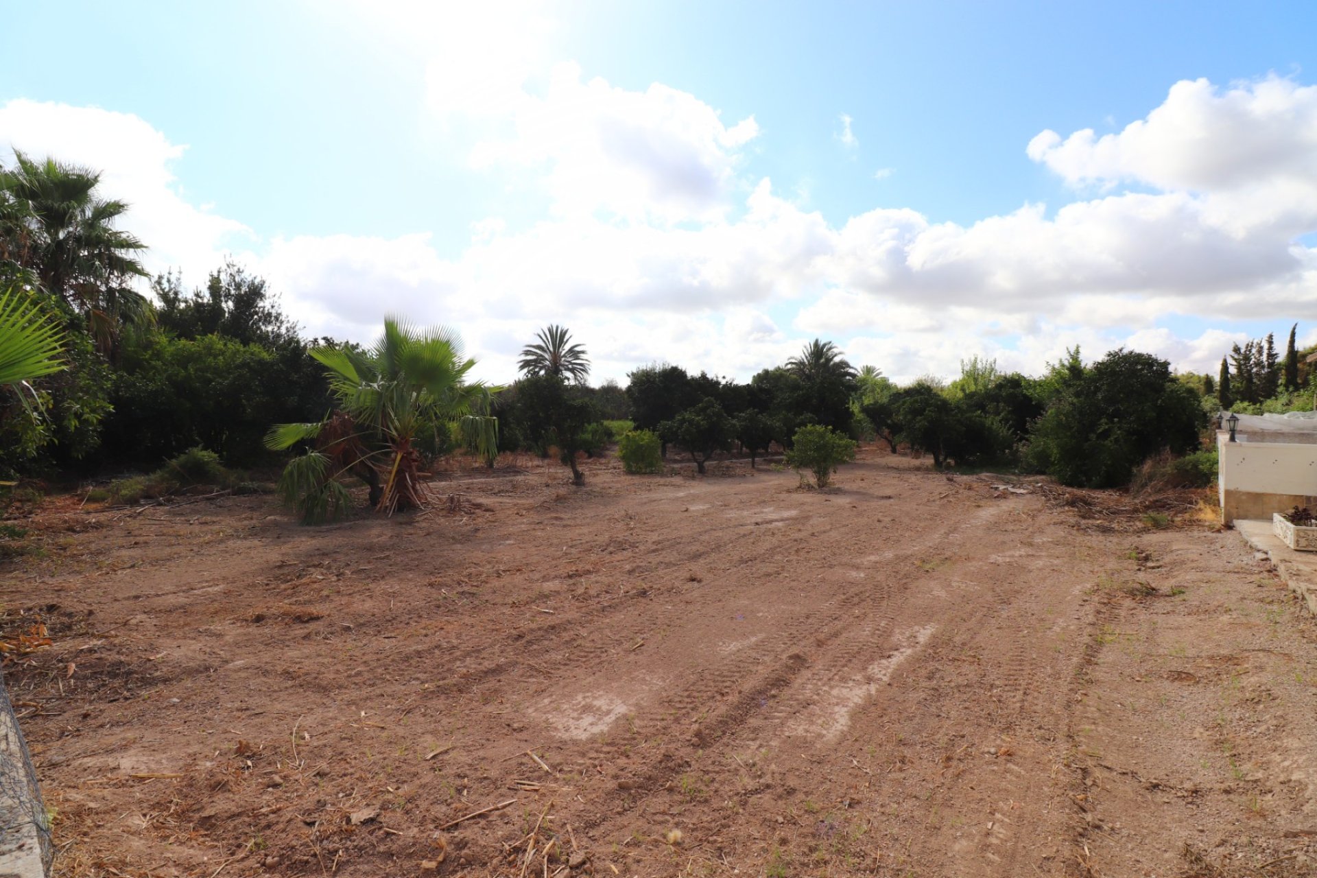 Reventa - Country property - Almoradí - Heredades - Country