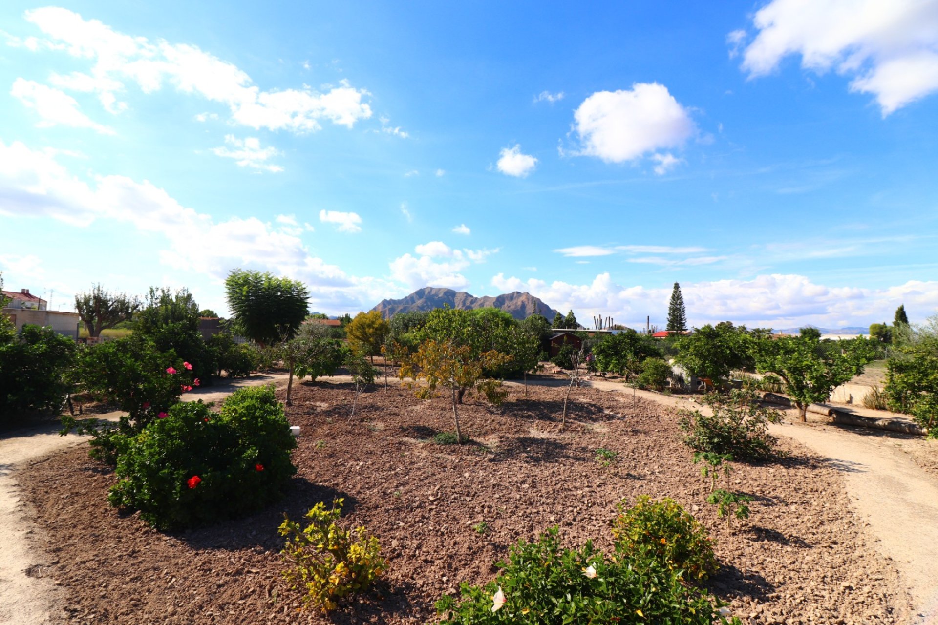 Reventa - Country property - Rafal - El Mudamiento