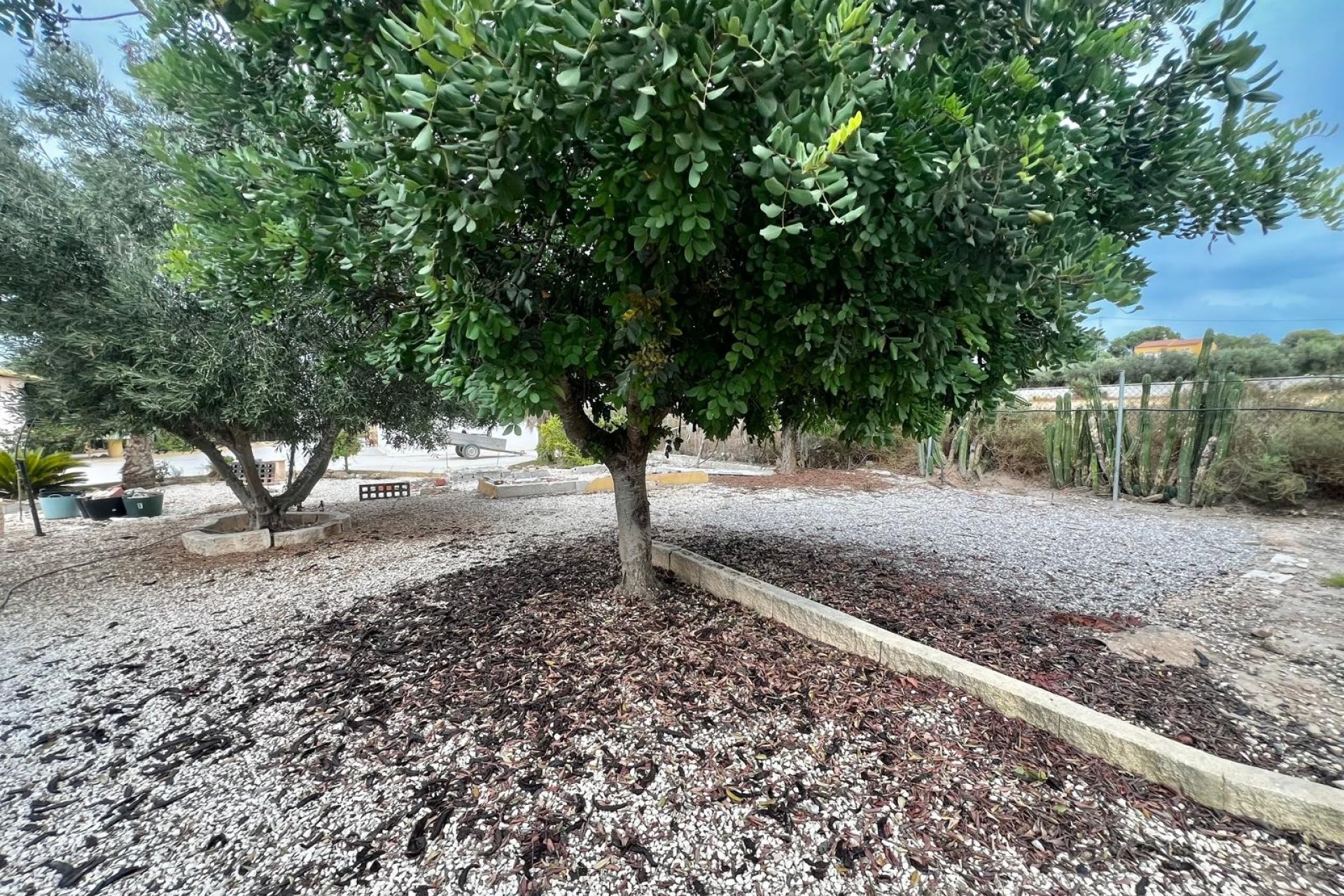 Reventa - Country property - San Fulgencio - San Fulgencio - Country
