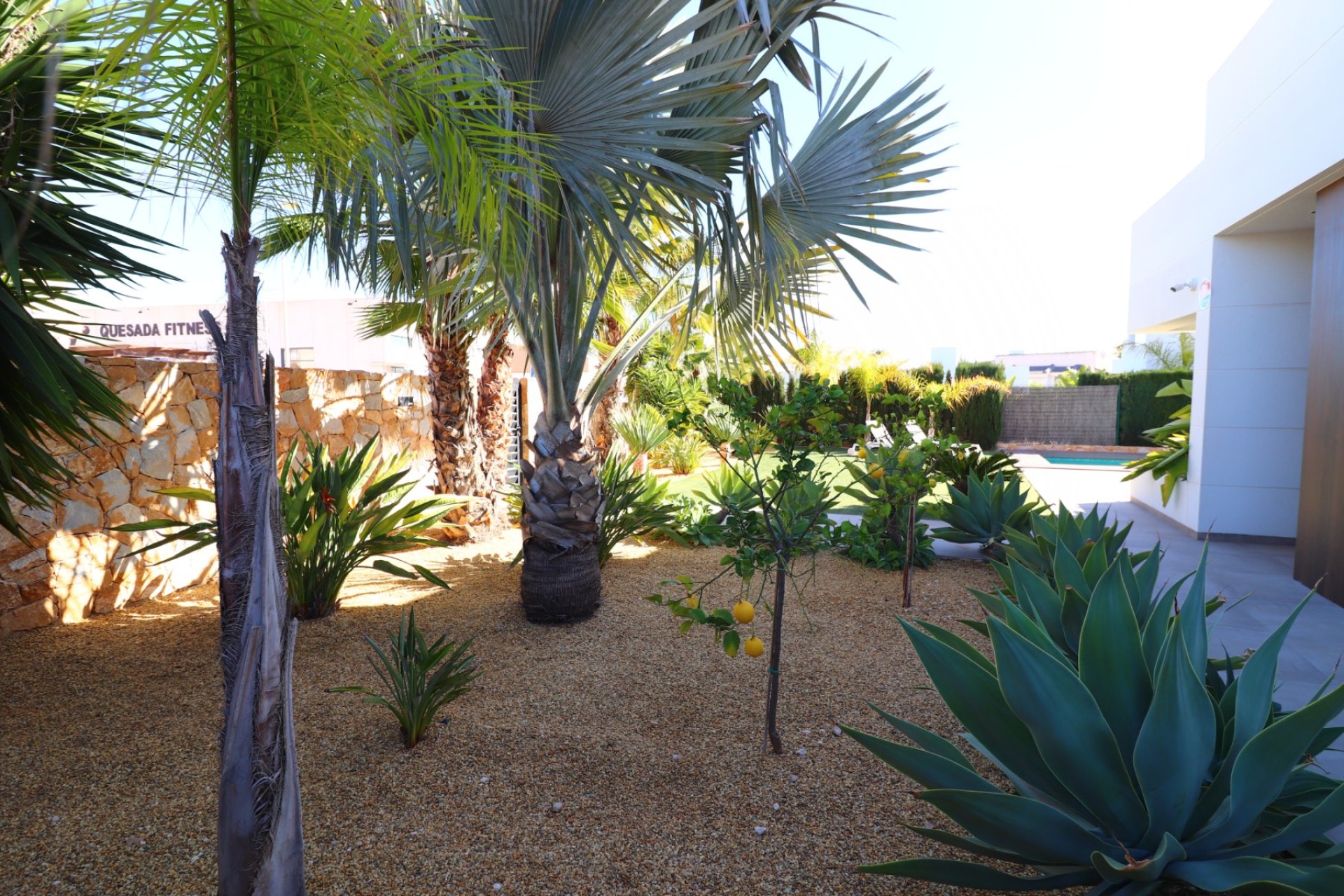 Reventa - Detached House / Villa - Ciudad Quesada - Ciudad Quesada - Town