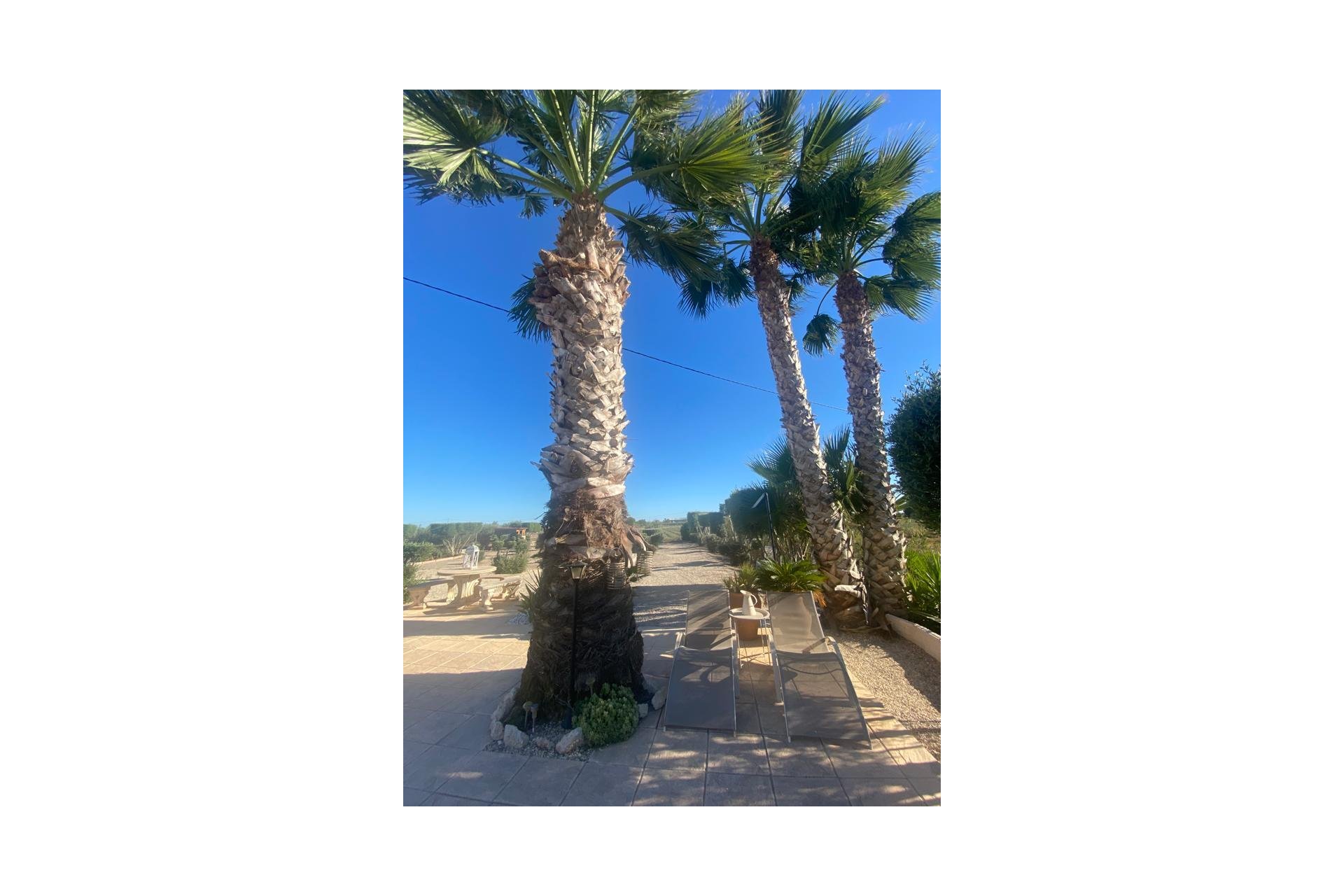 Reventa - Detached House / Villa - Dolores
