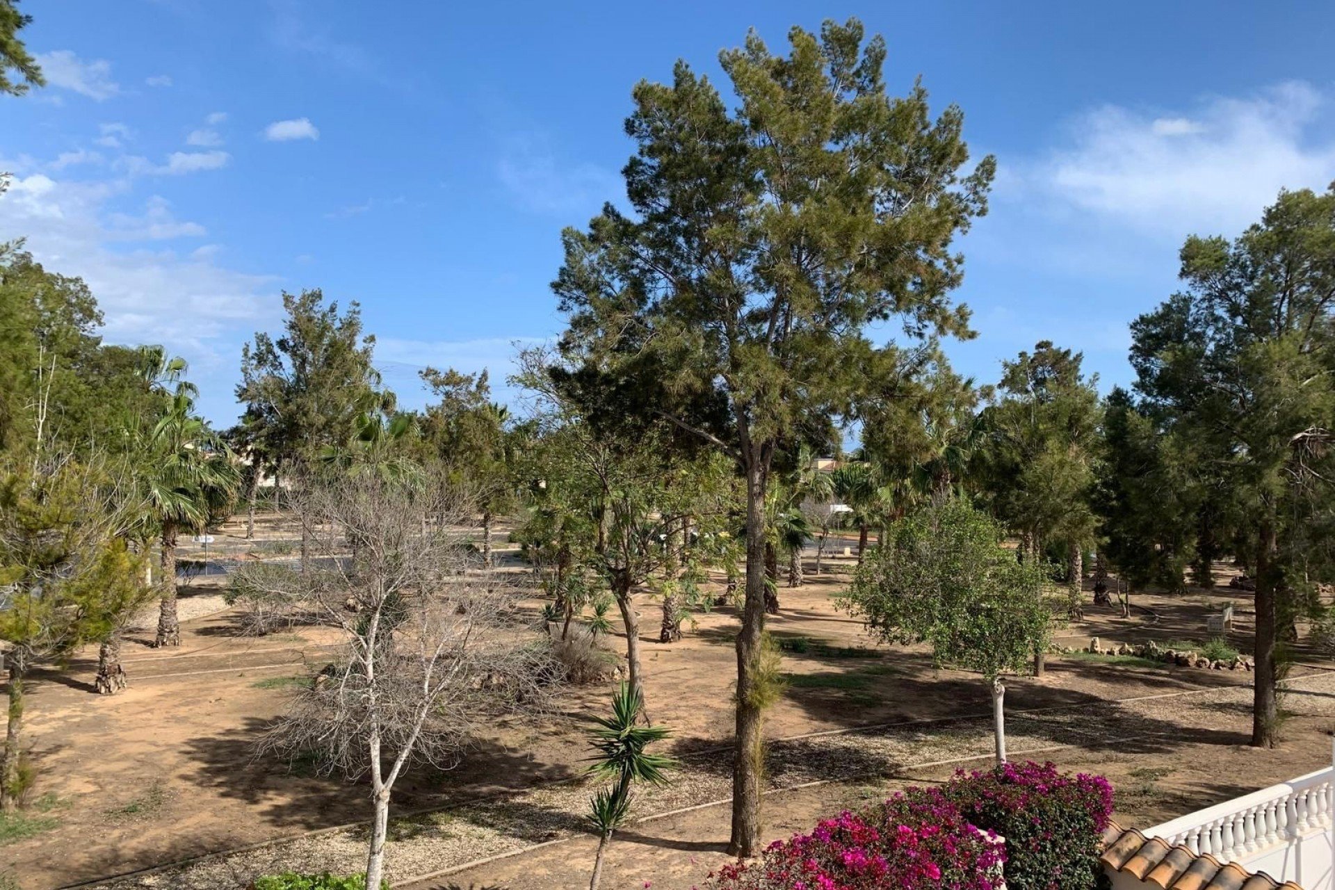 Reventa - Detached House / Villa - Guardamar del Segura - El Raso