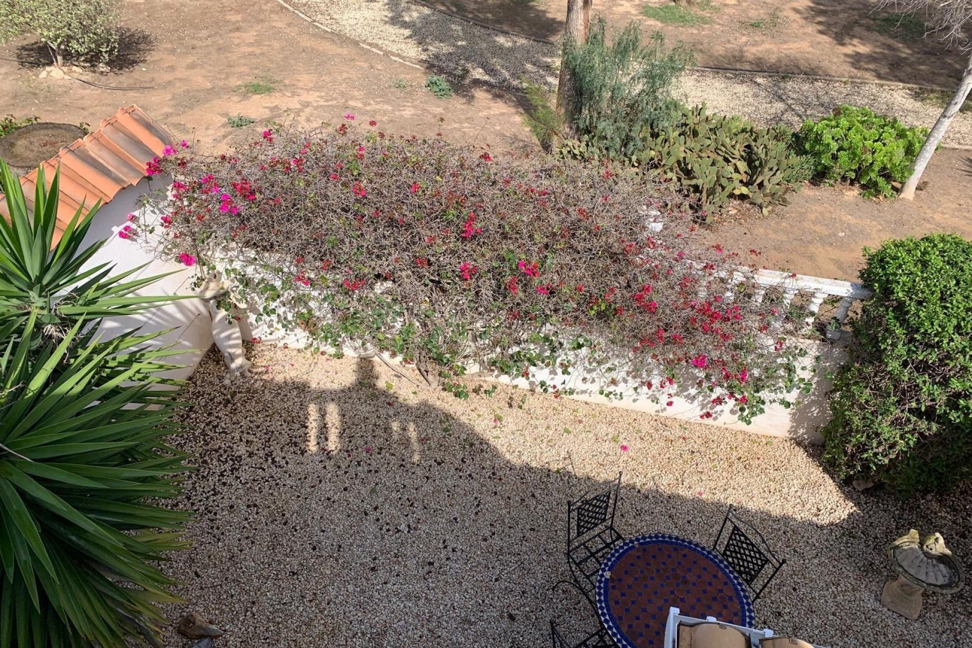 Reventa - Detached House / Villa - Guardamar del Segura - El Raso