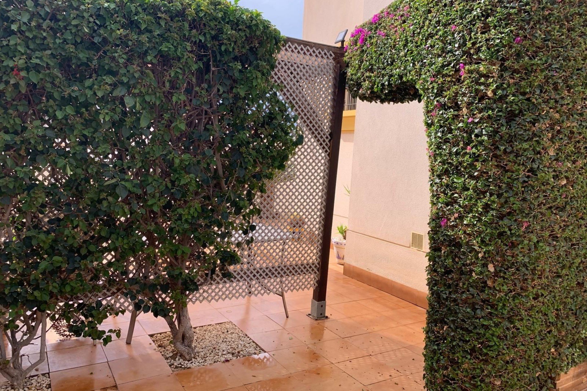 Reventa - Detached House / Villa - Guardamar del Segura - El Raso