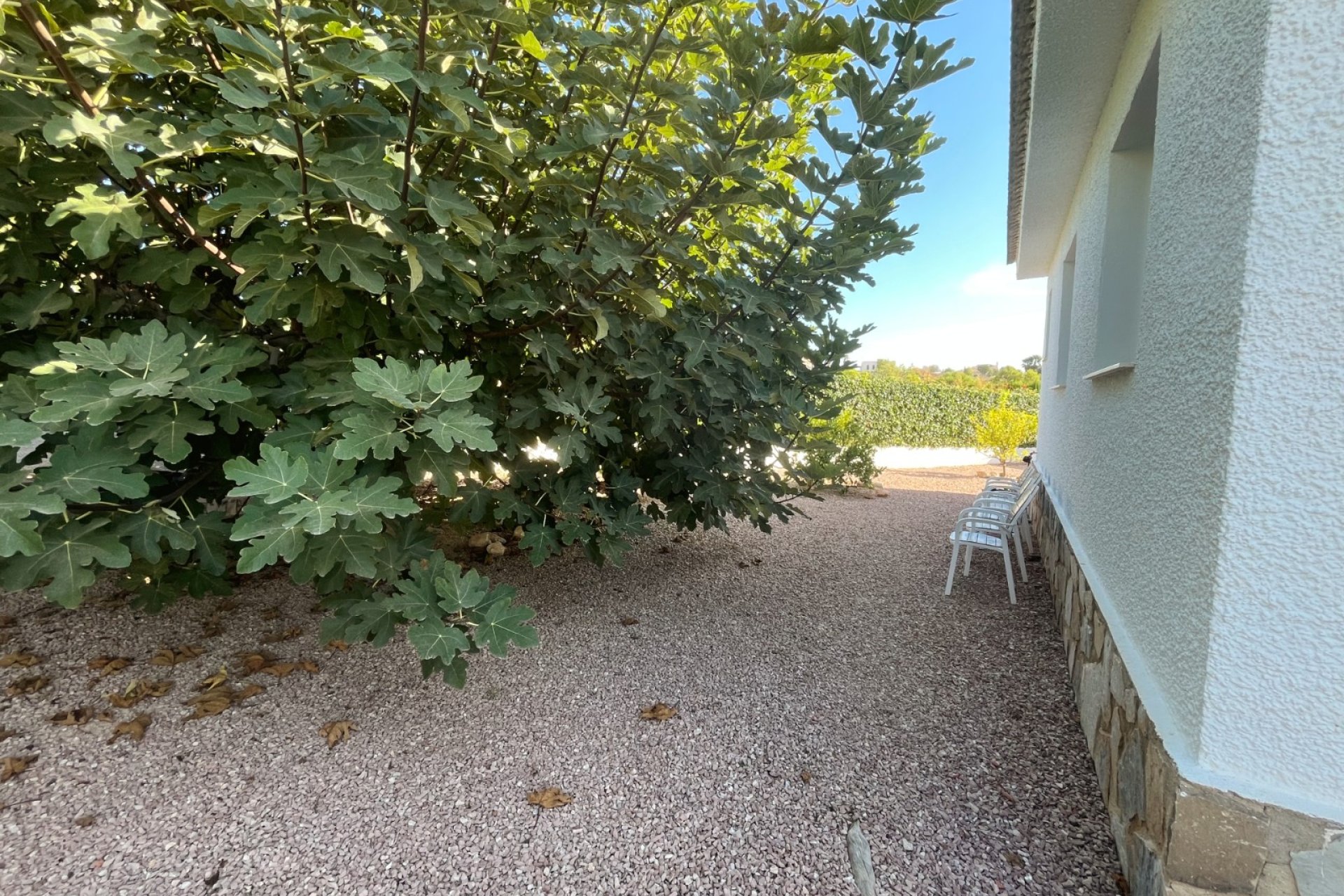 Reventa - Detached villa - Ciudad Quesada - Central Quesada