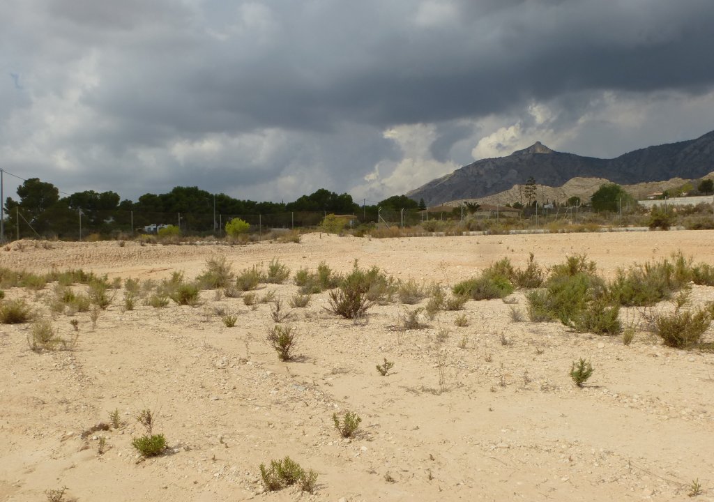 Reventa - Plot of Land - Crevillente - Crevillente - Country