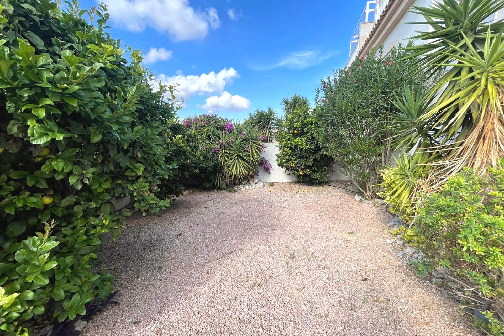 Reventa - Quad - Ciudad Quesada - Rojales Hills