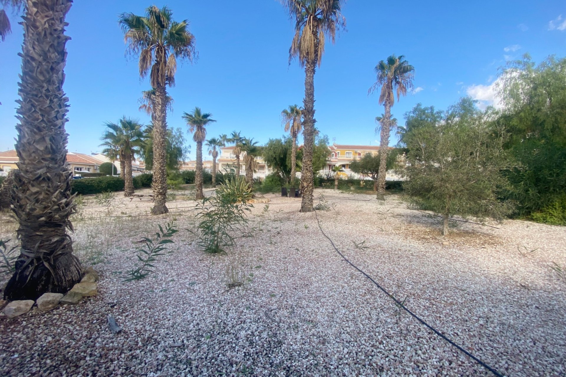 Reventa - Semi Detached - Benijófar - Monte Azul/ El Dorado