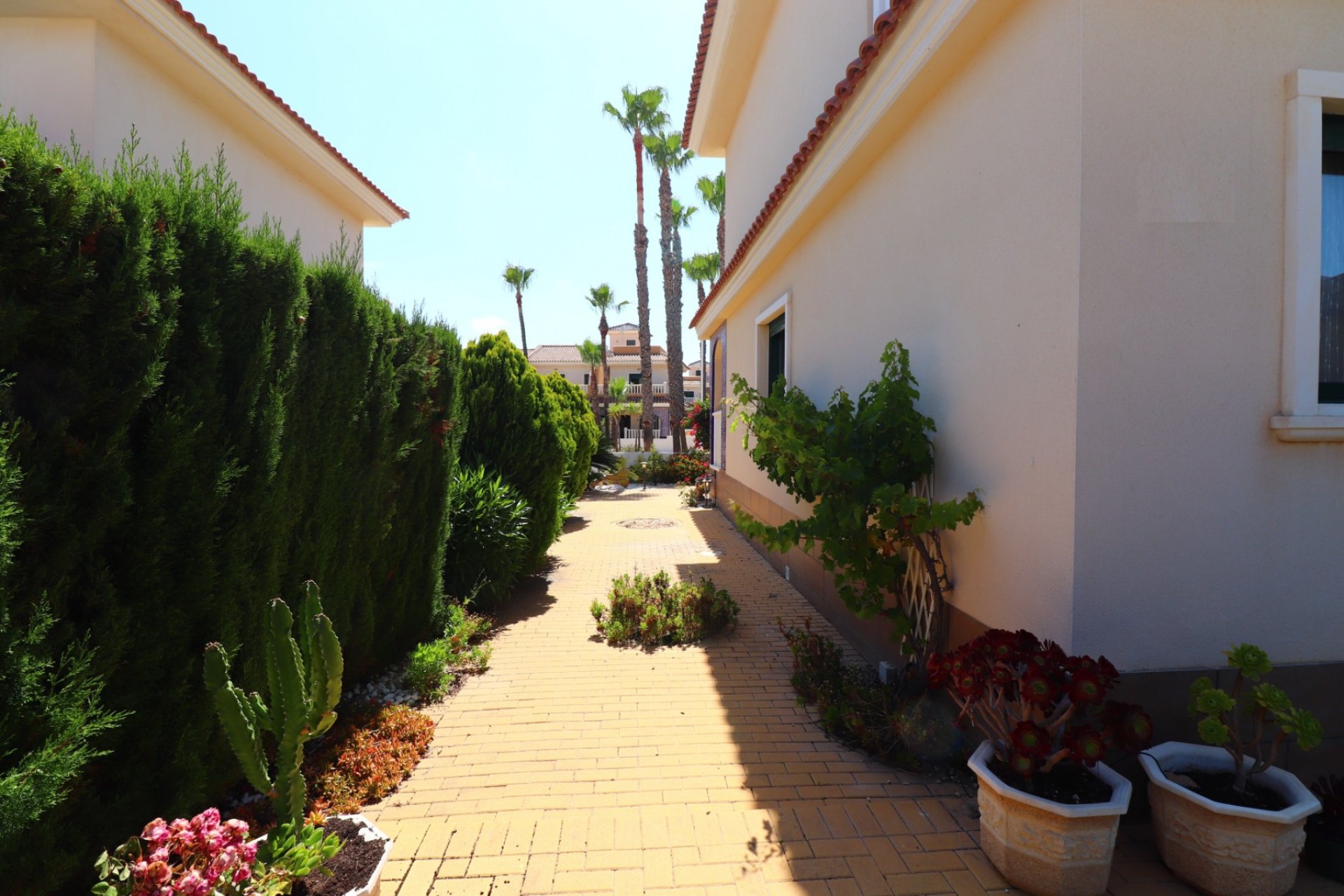 Reventa - Semi Detached - Ciudad Quesada - Doña Pepa