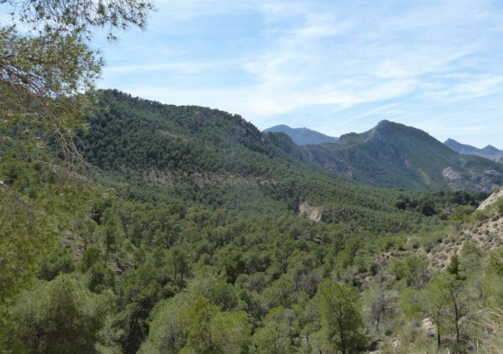 Reventa - Semi Detached - Murcia