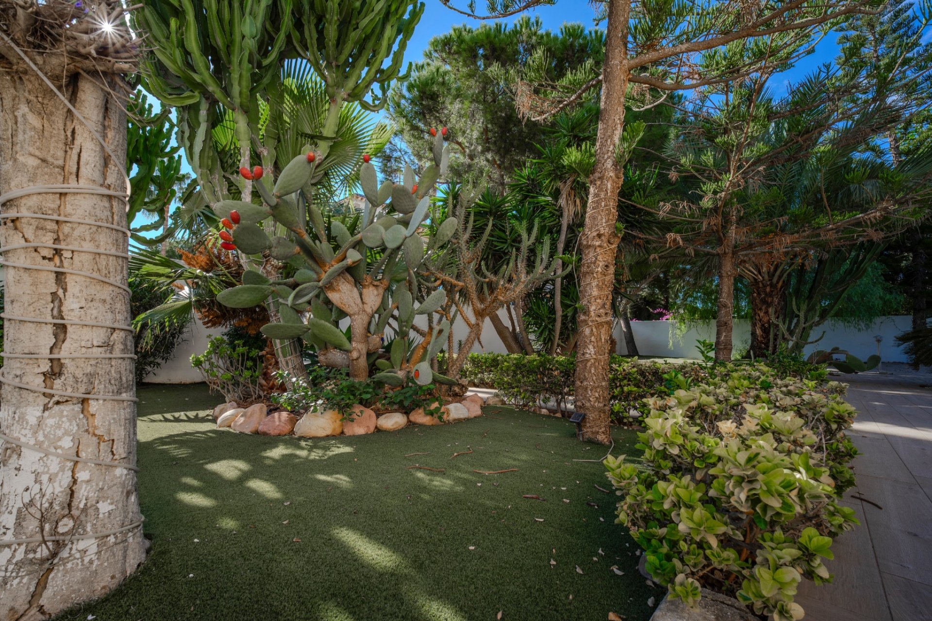 Reventa - Villa - Ciudad Quesada - Dona Pepa