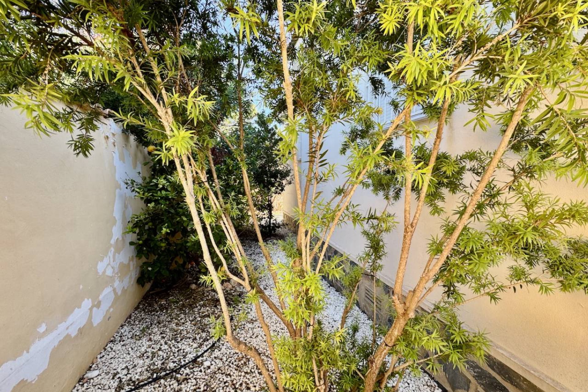 Reventa - Villa - Ciudad Quesada - Lo Pepin