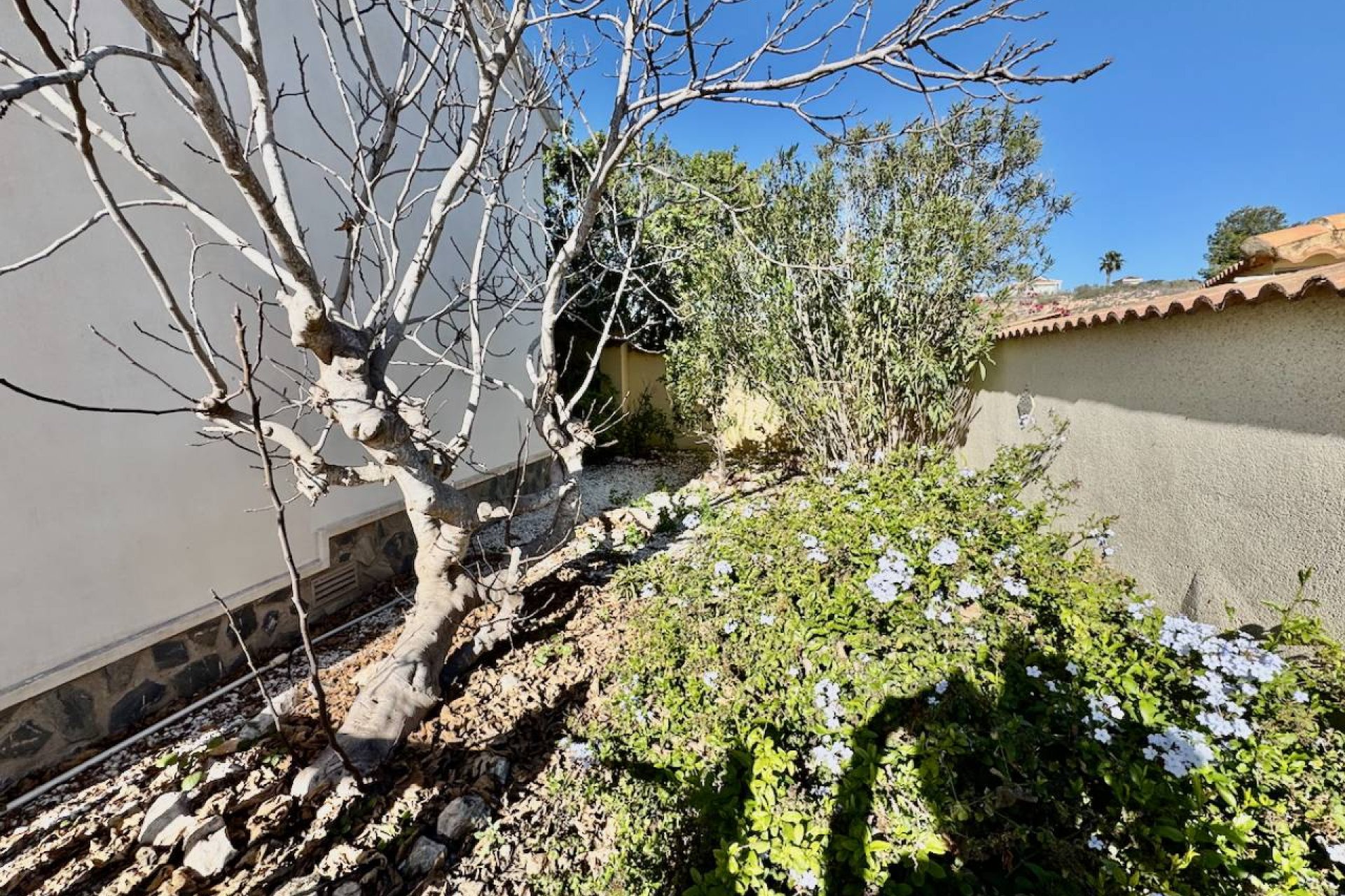 Reventa - Villa - Ciudad Quesada - Lo Pepin