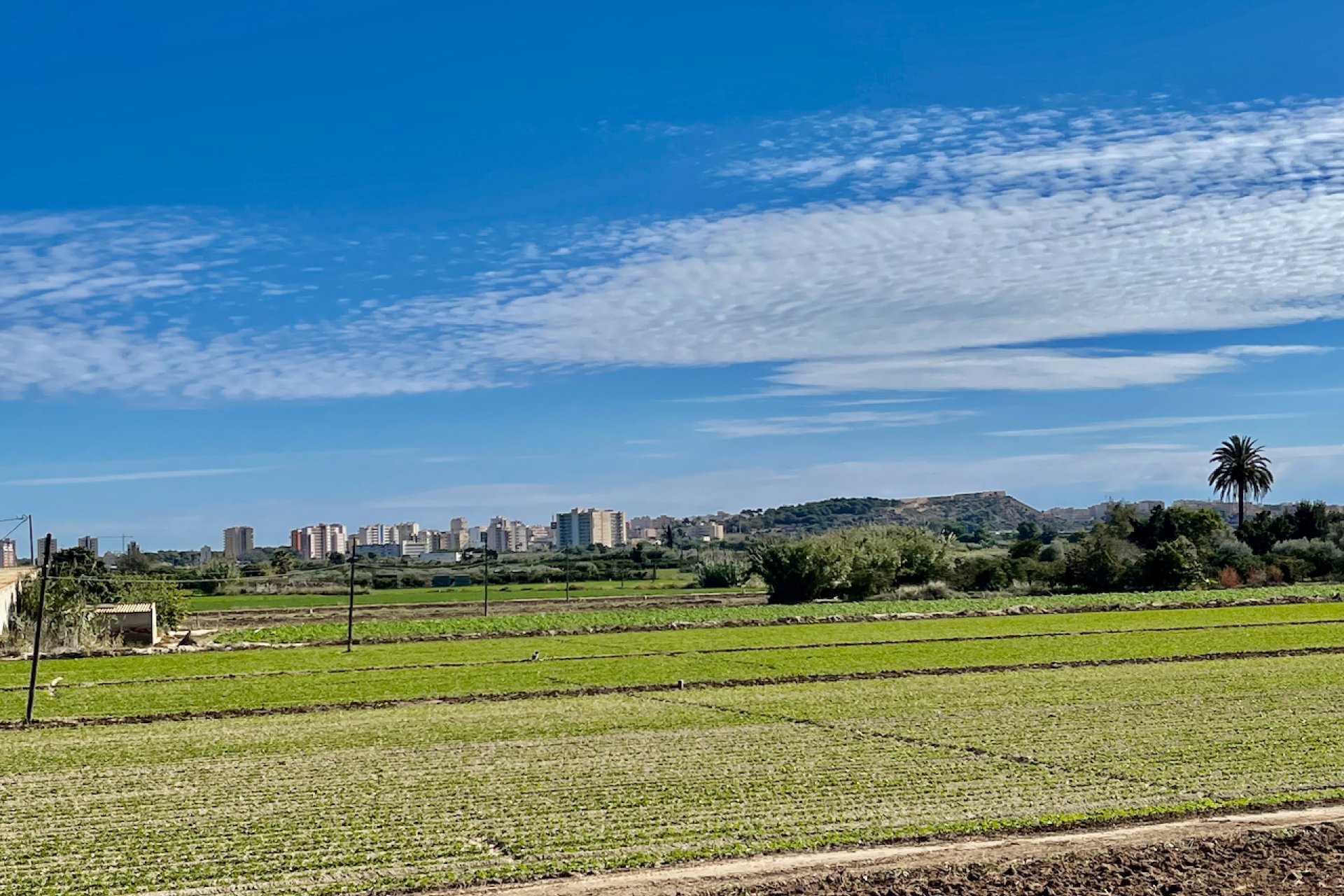Reventa - Villa - Guardamar del Segura