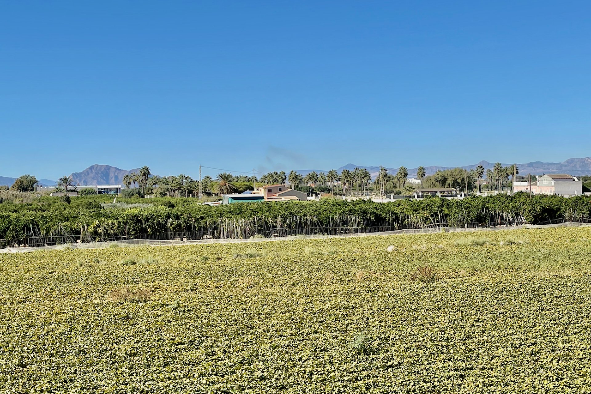 Reventa - Villa - Guardamar del Segura