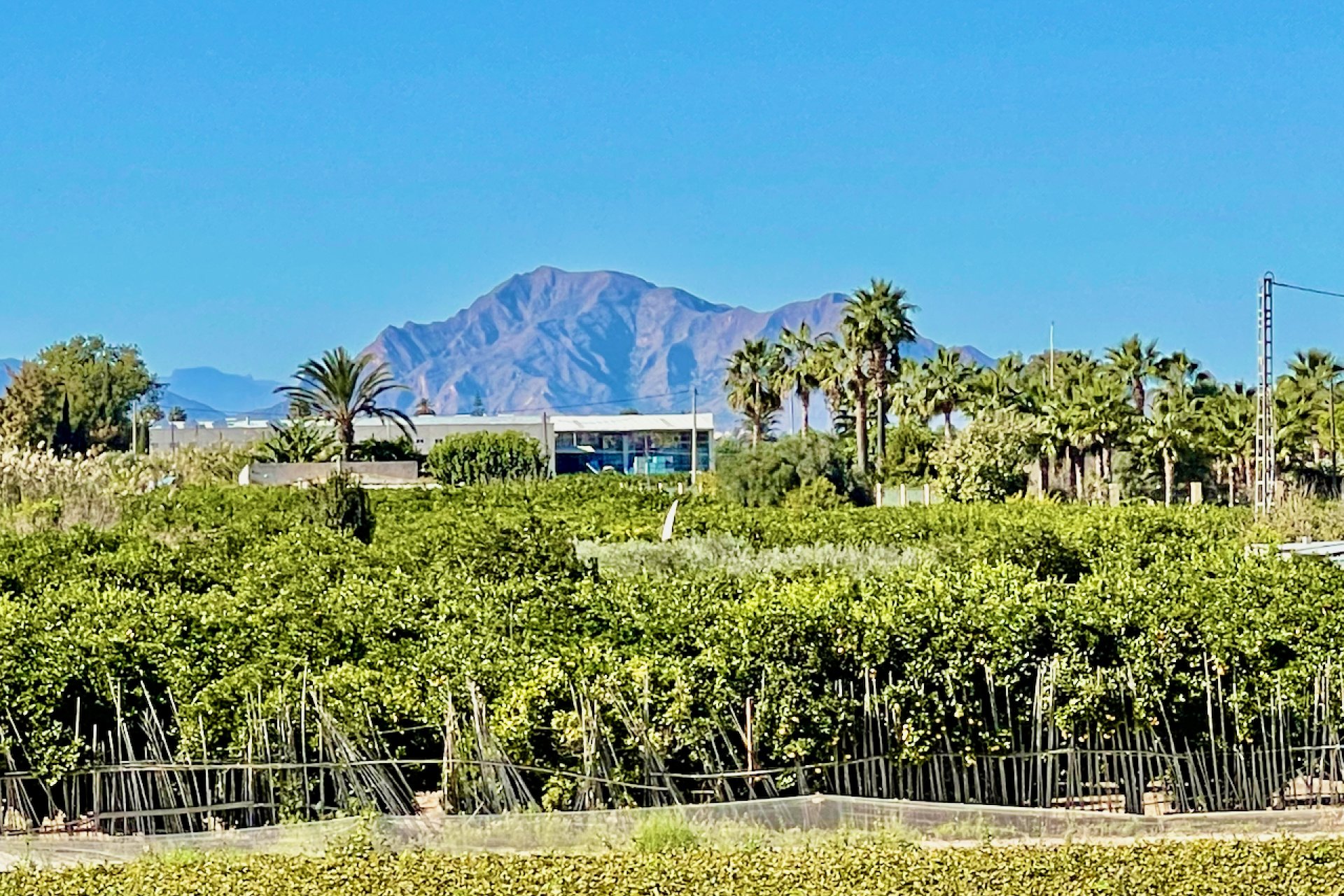 Reventa - Villa - Guardamar del Segura
