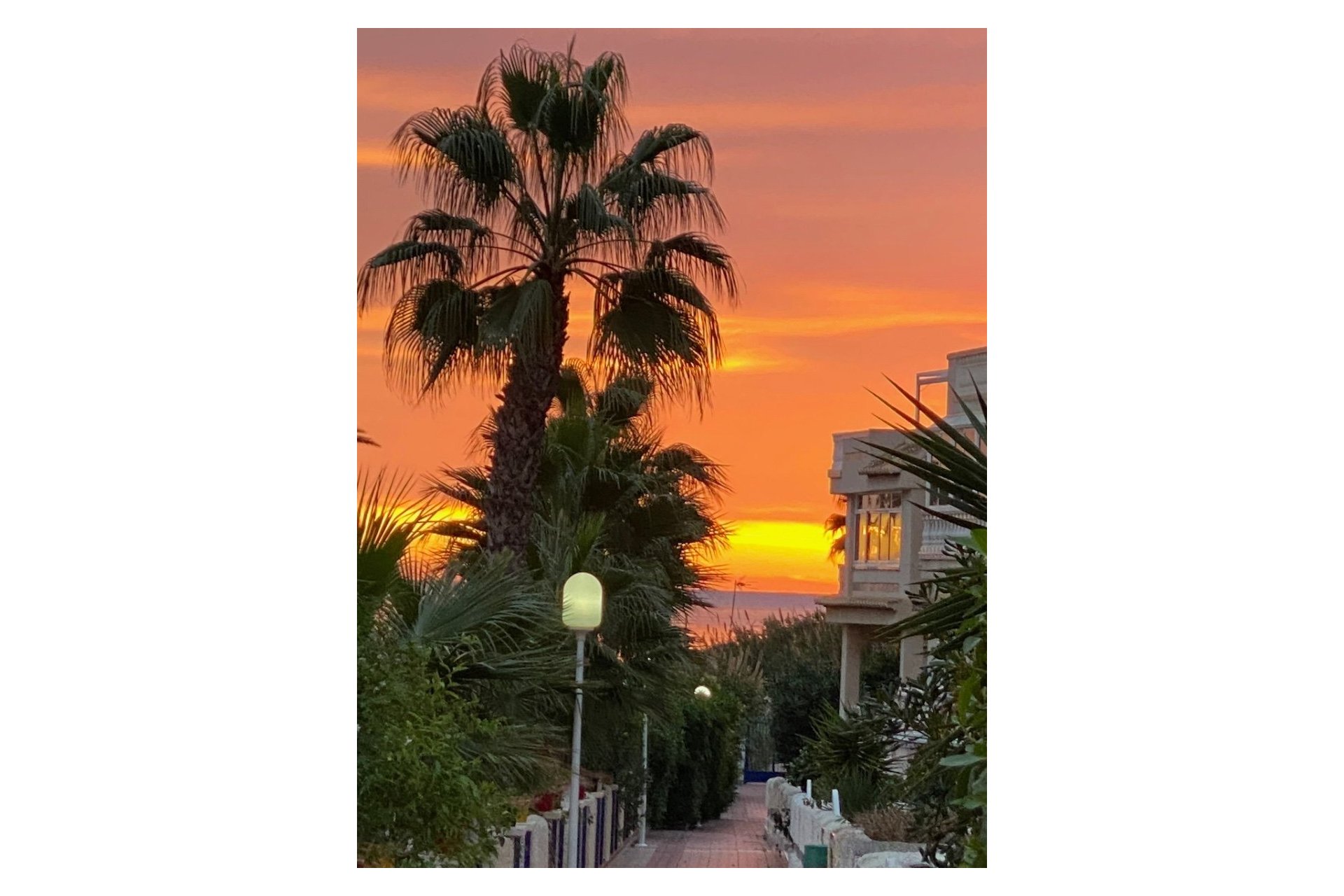 Reventa - Villa - Guardamar del Segura